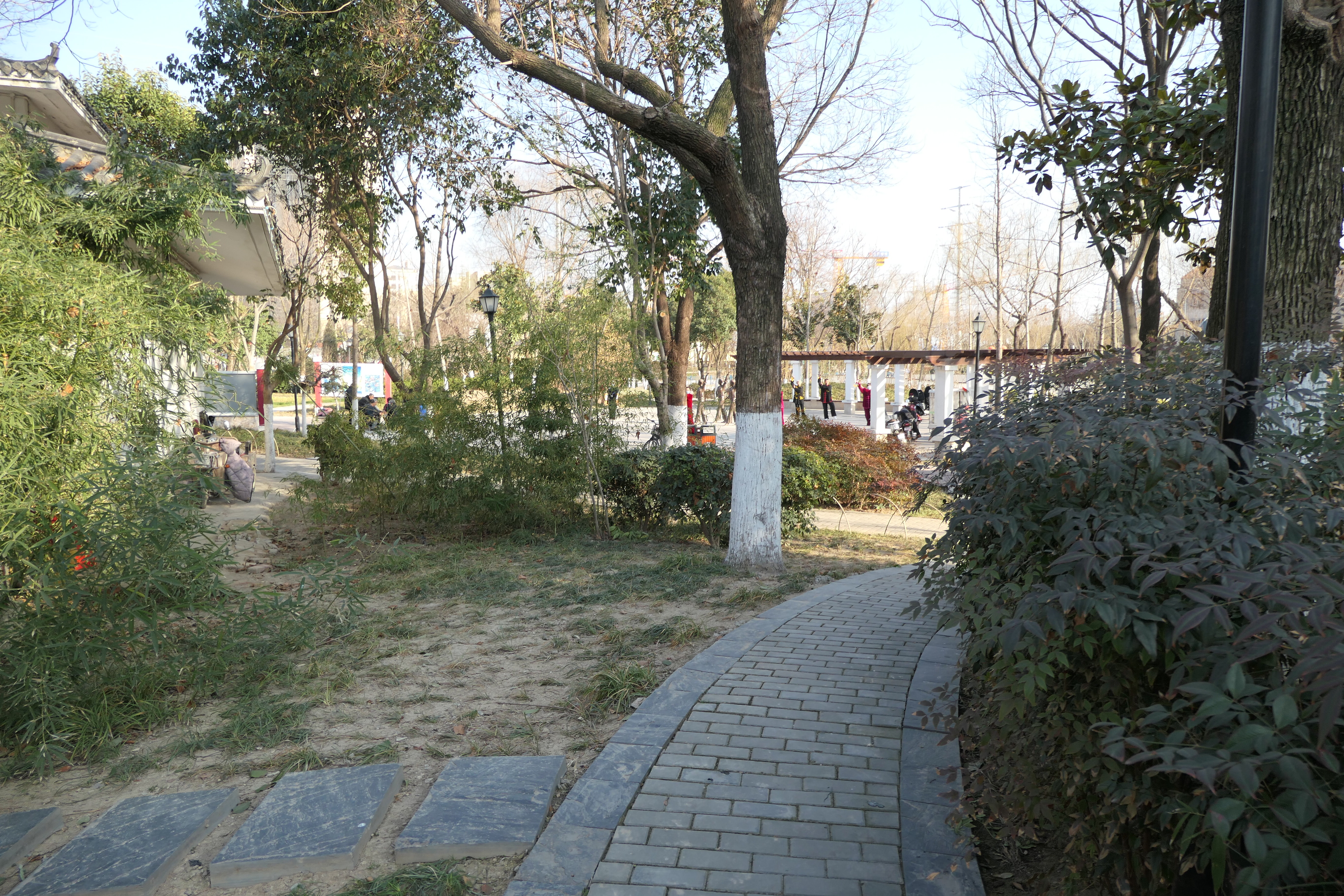 宿蒙运河公园旅行图片 3