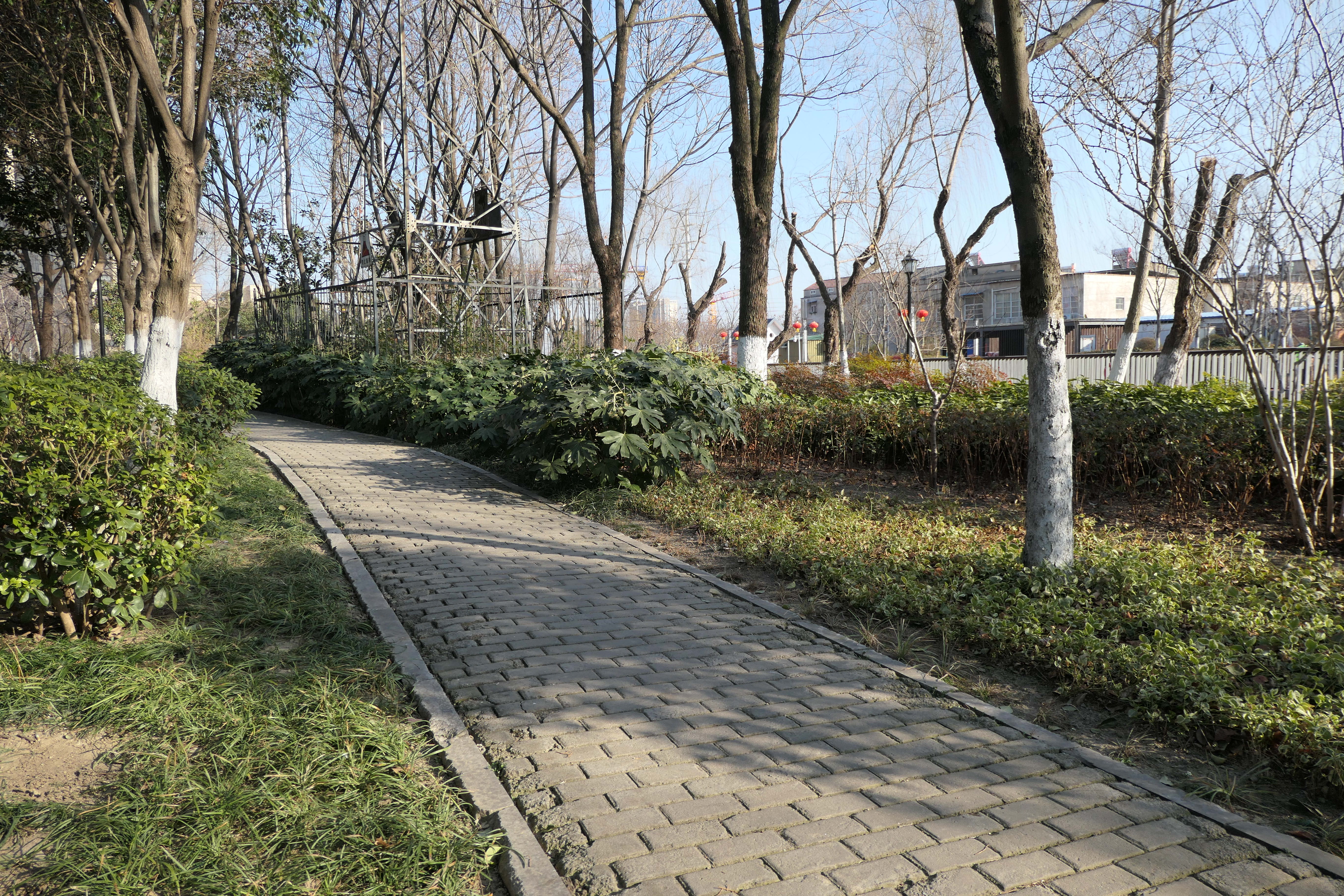 宿蒙运河公园旅行图片 1
