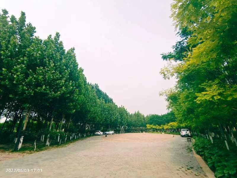 骑行小镇旅行图片 2