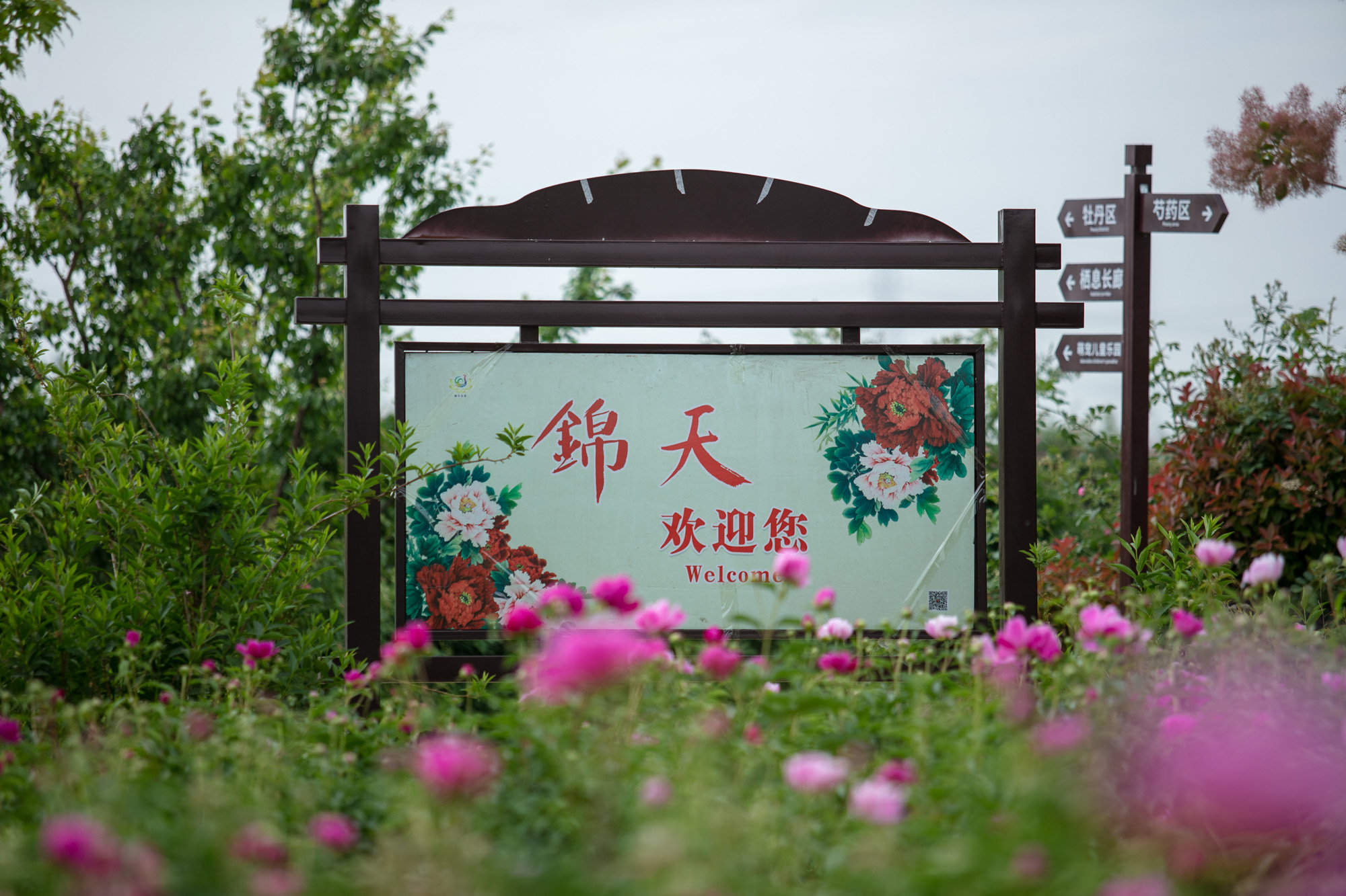 滕州市锦天牡丹园旅行图片 1