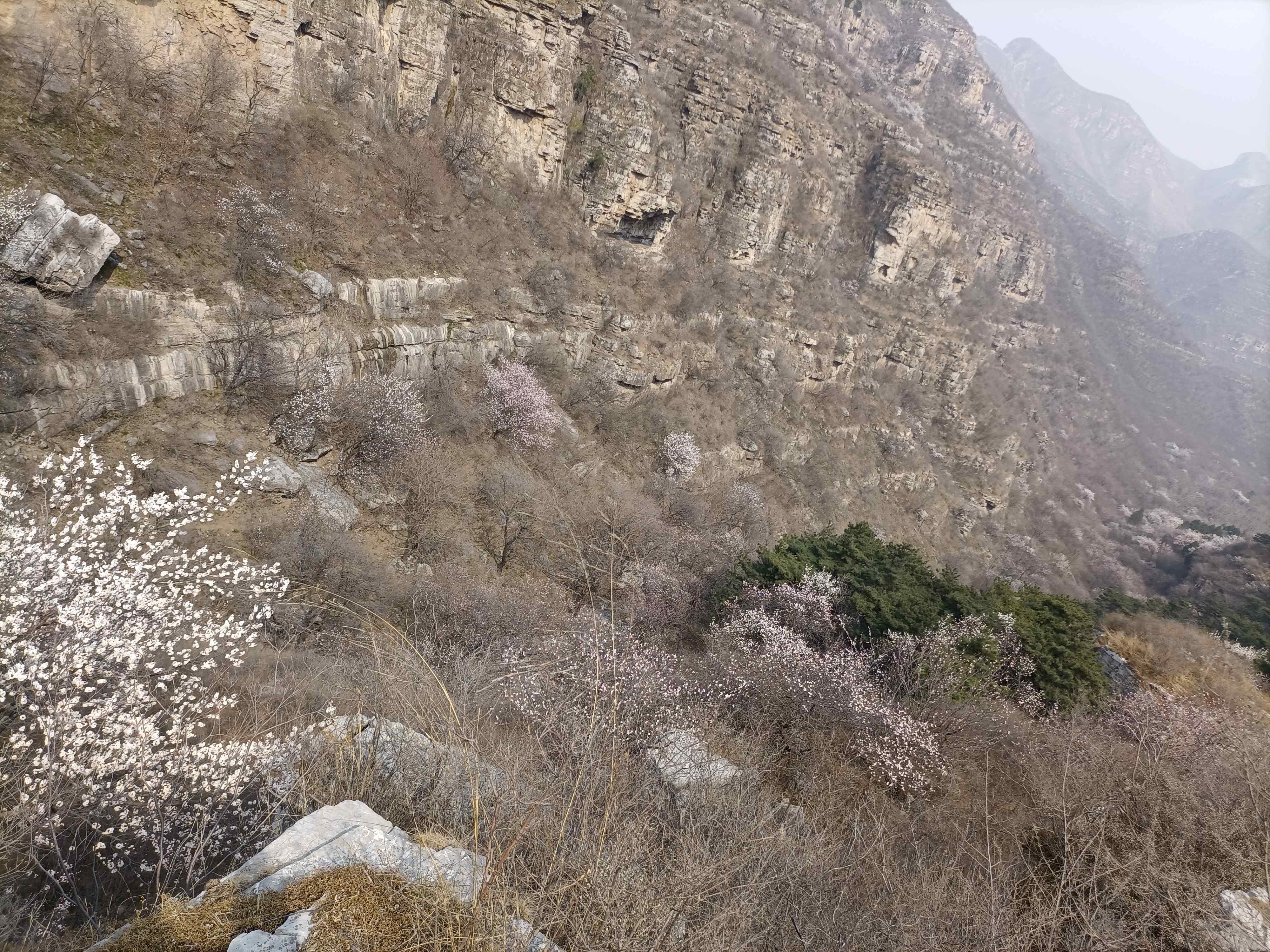 玉泉瀑布旅行图片 2