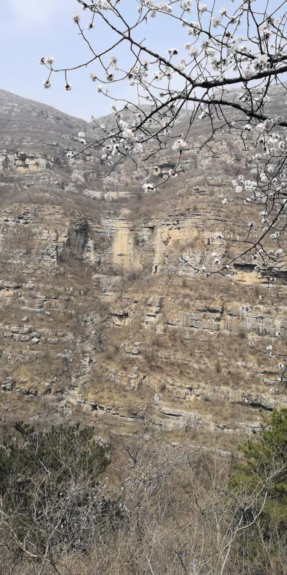 玉泉瀑布旅行图片 1
