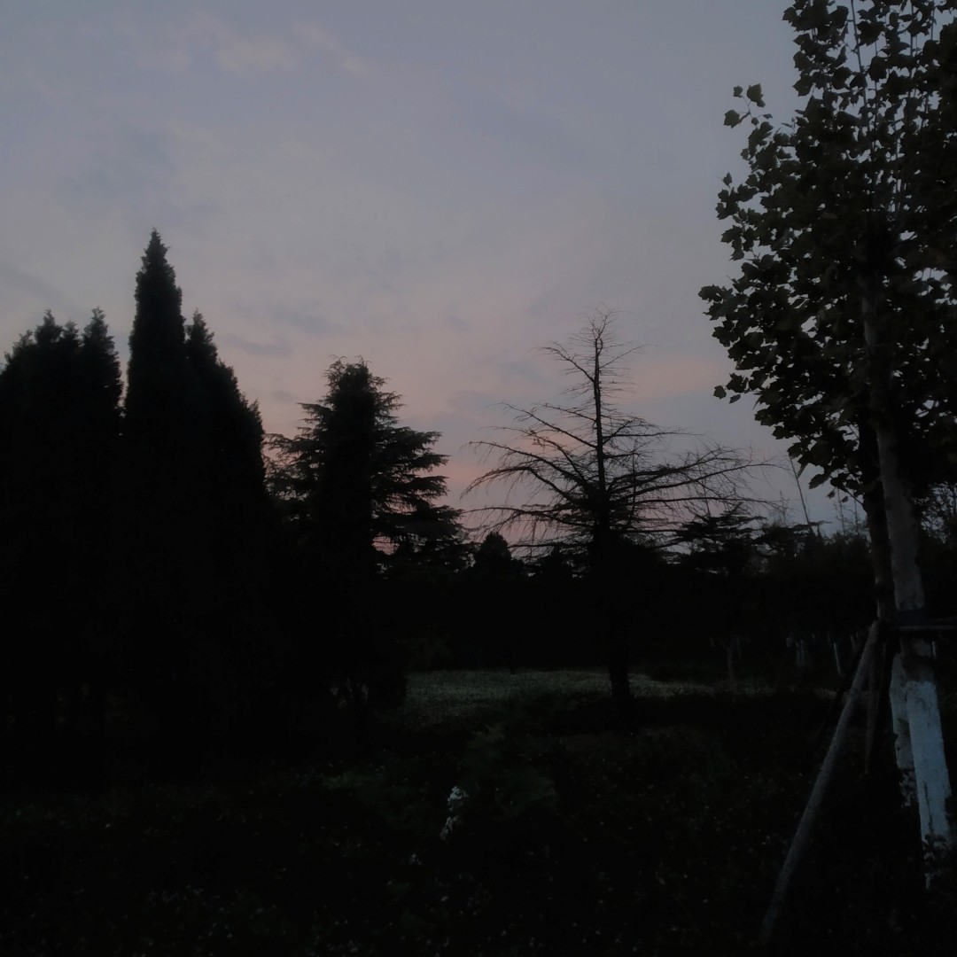 道德广场旅行图片 1