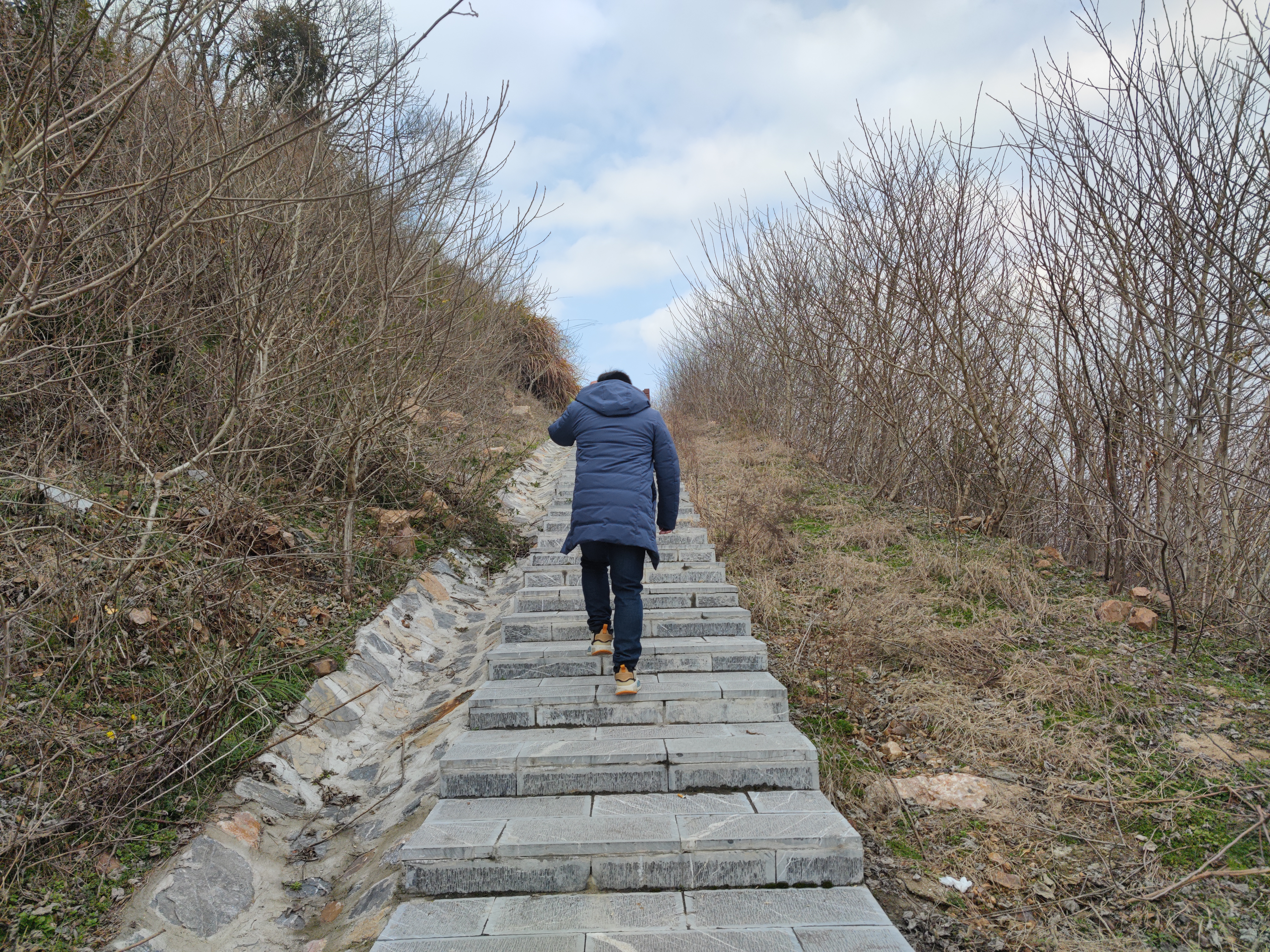 龟山塔旅行图片 3