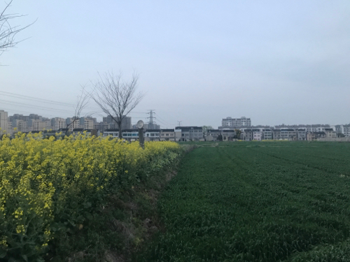 永庆寺垈旅行图片 2