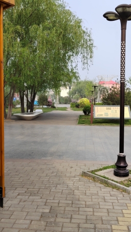 白洋淀文化广场旅行图片 1