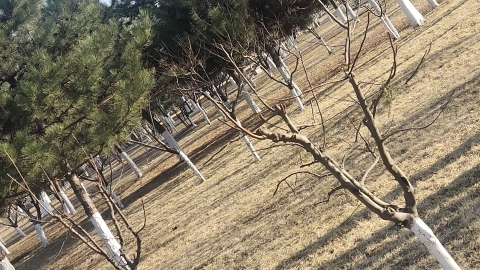 硕园旅行图片 1