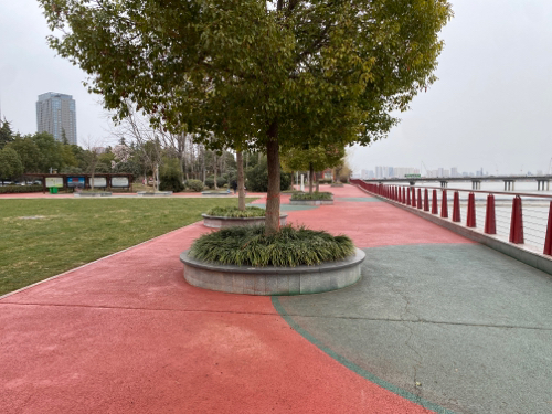 NBP滑板公园旅行图片 2