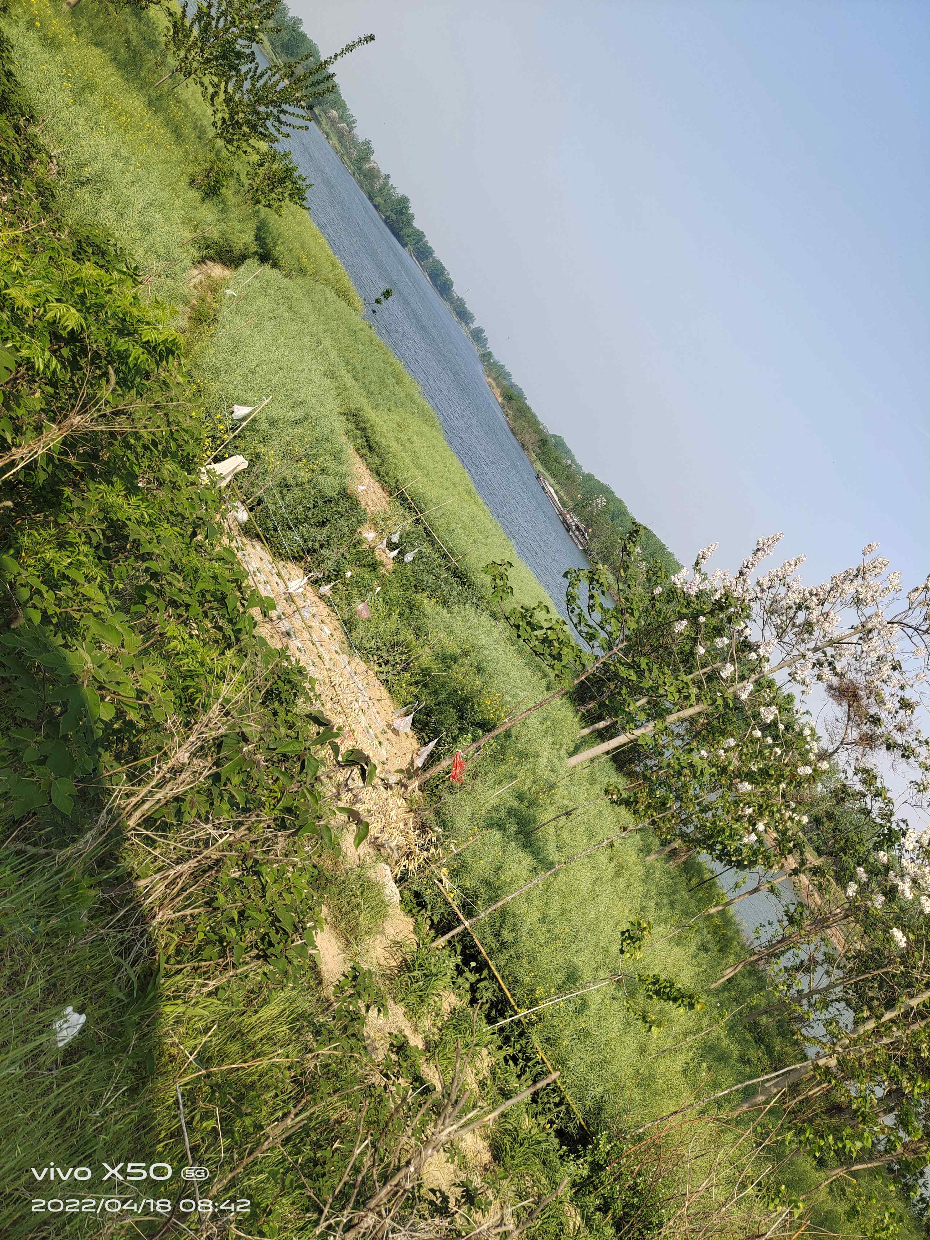 白果公园旅行图片 2