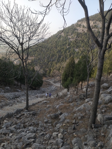 一步两井旅行图片 1