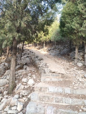 一步两井旅行图片 2