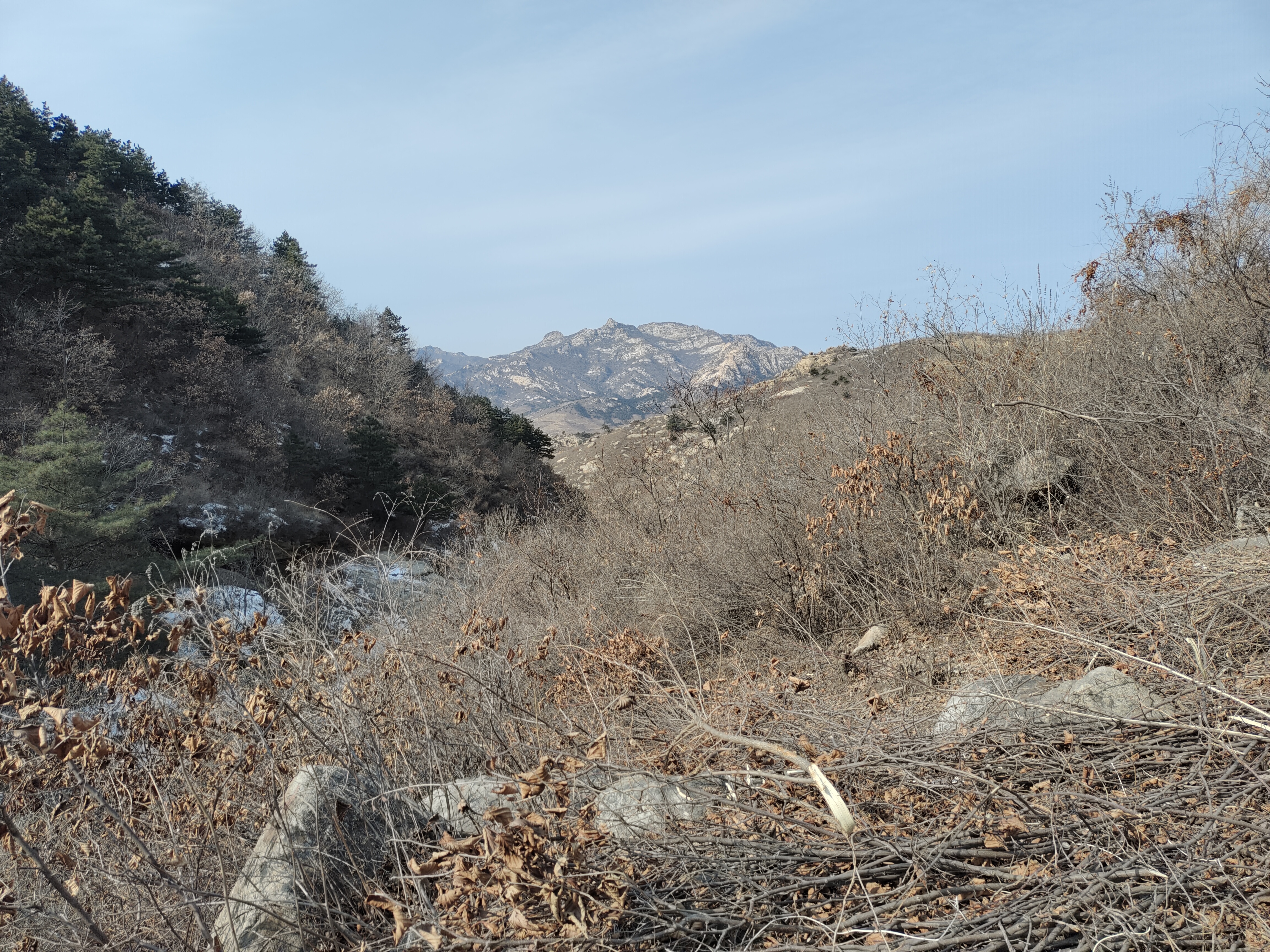将军拜母峰景区旅行图片 1