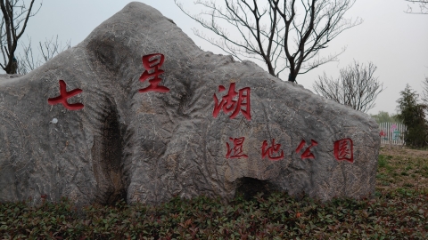 七星湖湿地公园旅行图片 1