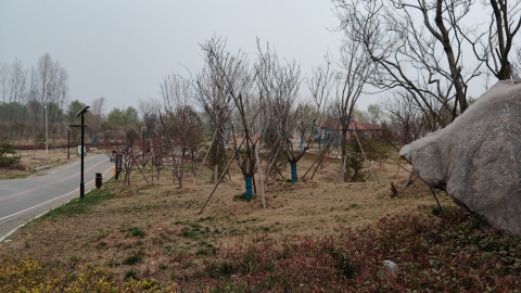 七星湖湿地公园旅行图片 2