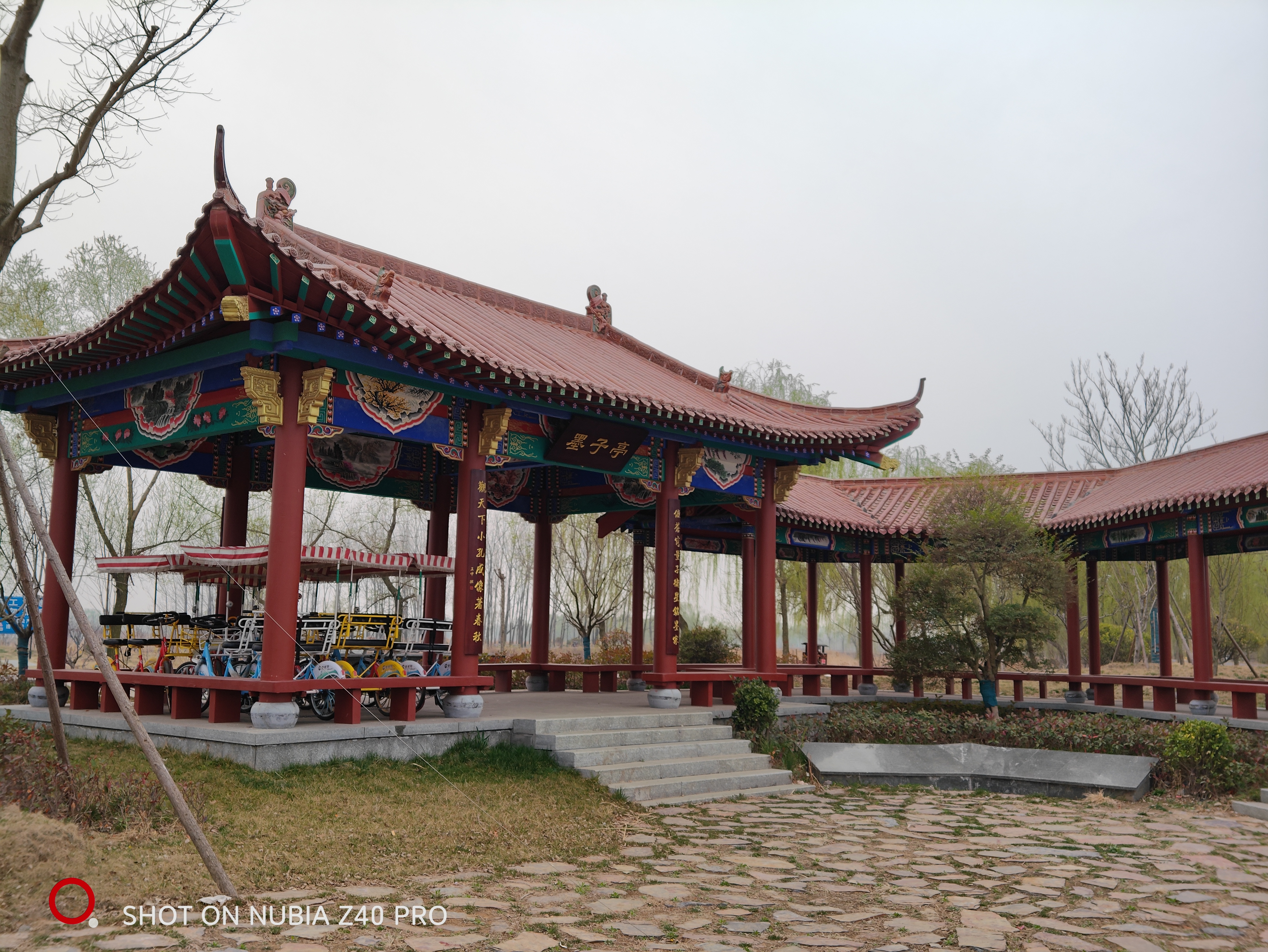 七星湖湿地公园旅行图片 3