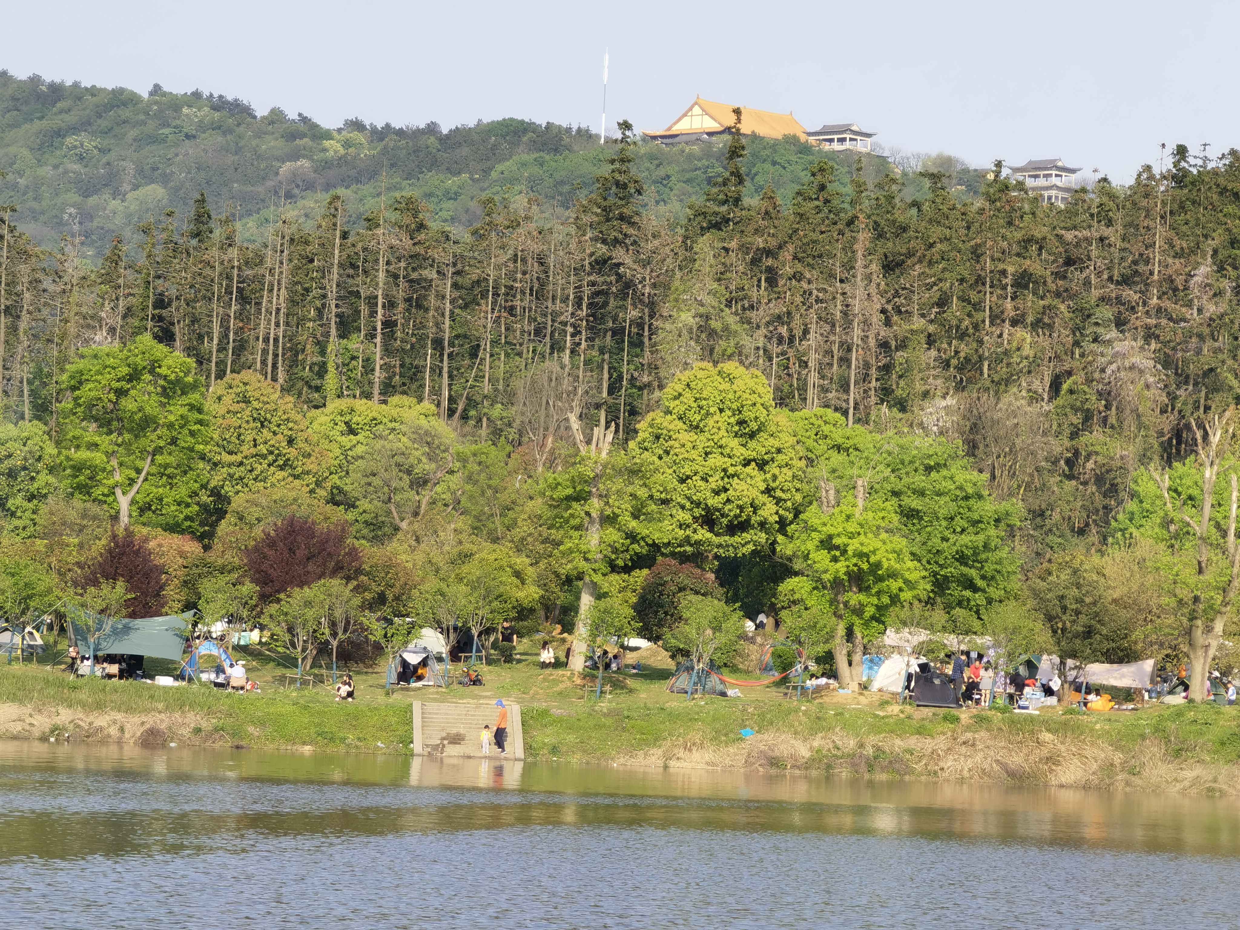 场地封面-八分山露营基地