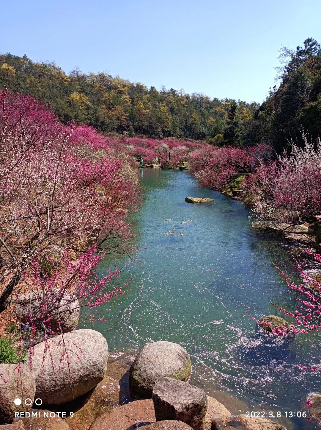 长兴东方梅园景区旅行图片 1