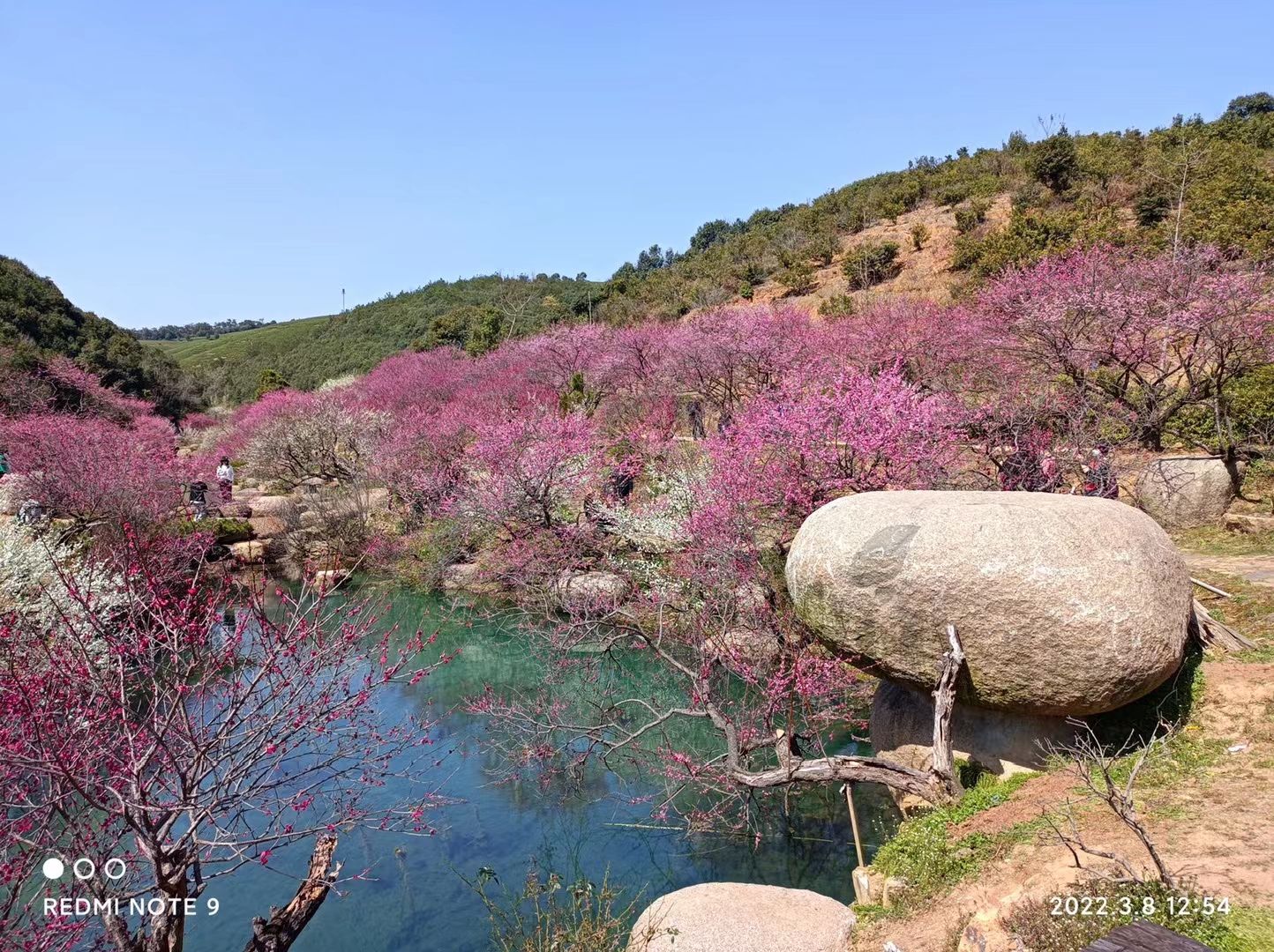 长兴东方梅园景区旅行图片 2