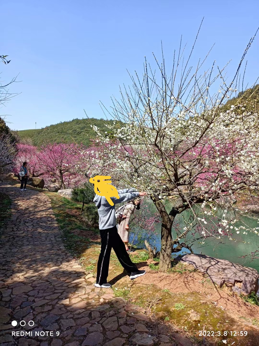 长兴东方梅园景区旅行图片 3