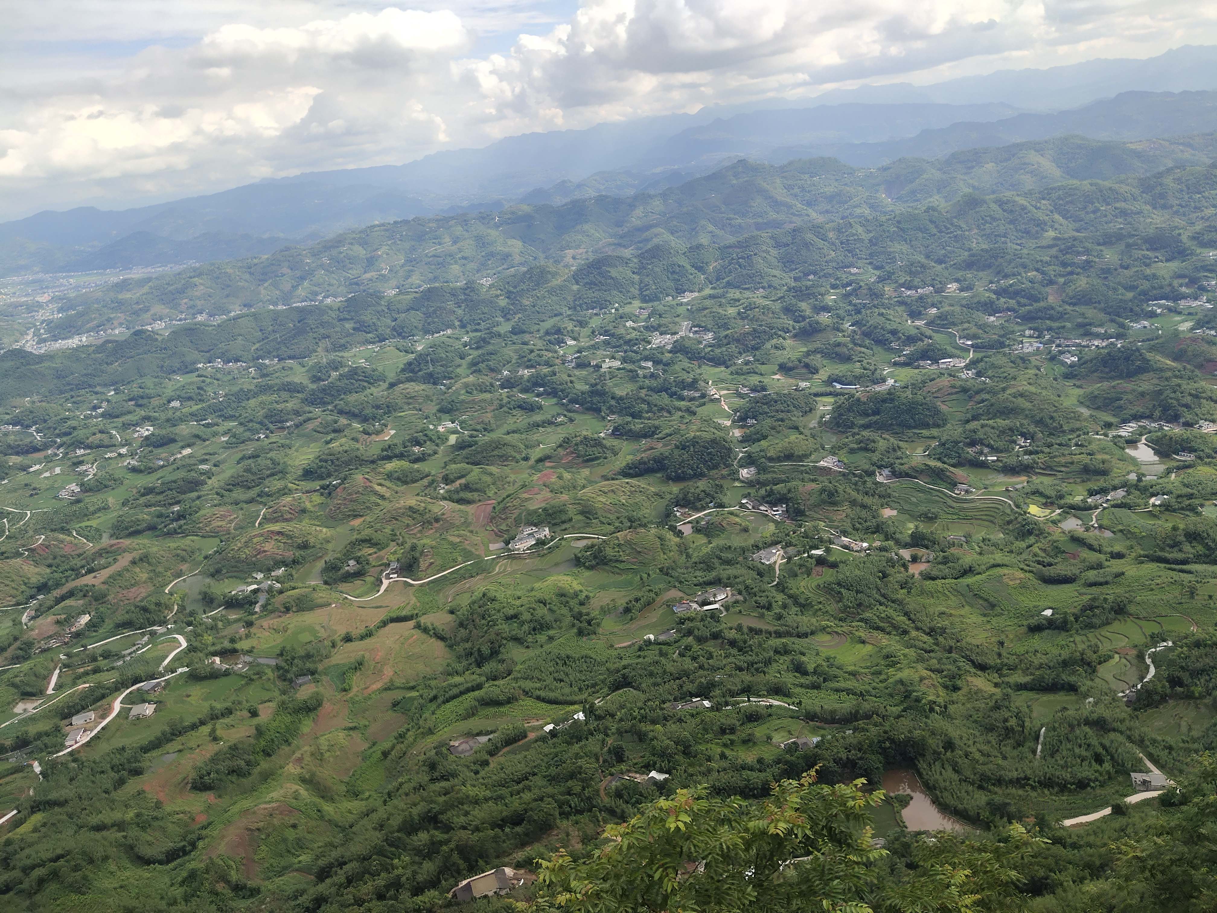 连天山森林公园旅行图片 2
