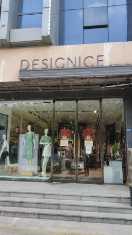 迪赛尼斯女装(泰安店)