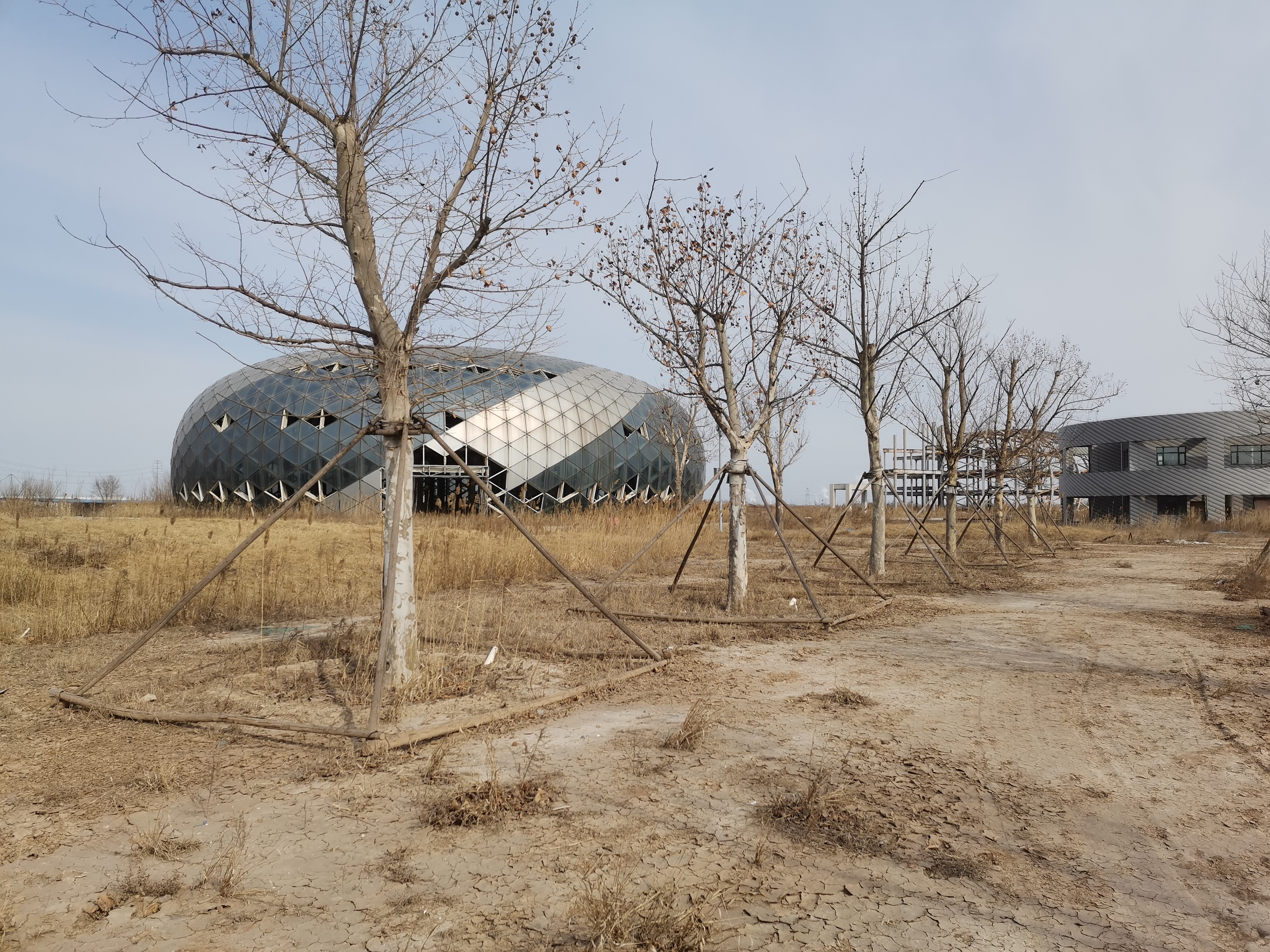 北海凤鸣鸟类湿地公园旅行图片 1