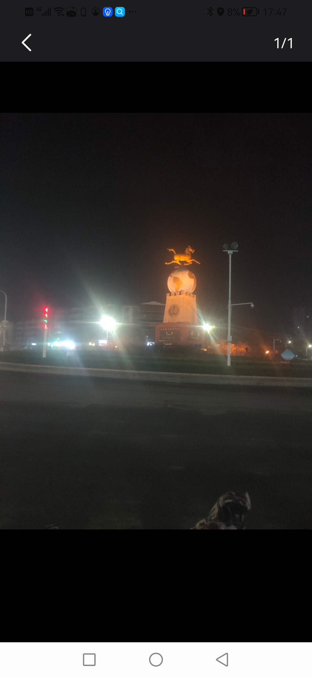 马踏飞燕旅行图片 1
