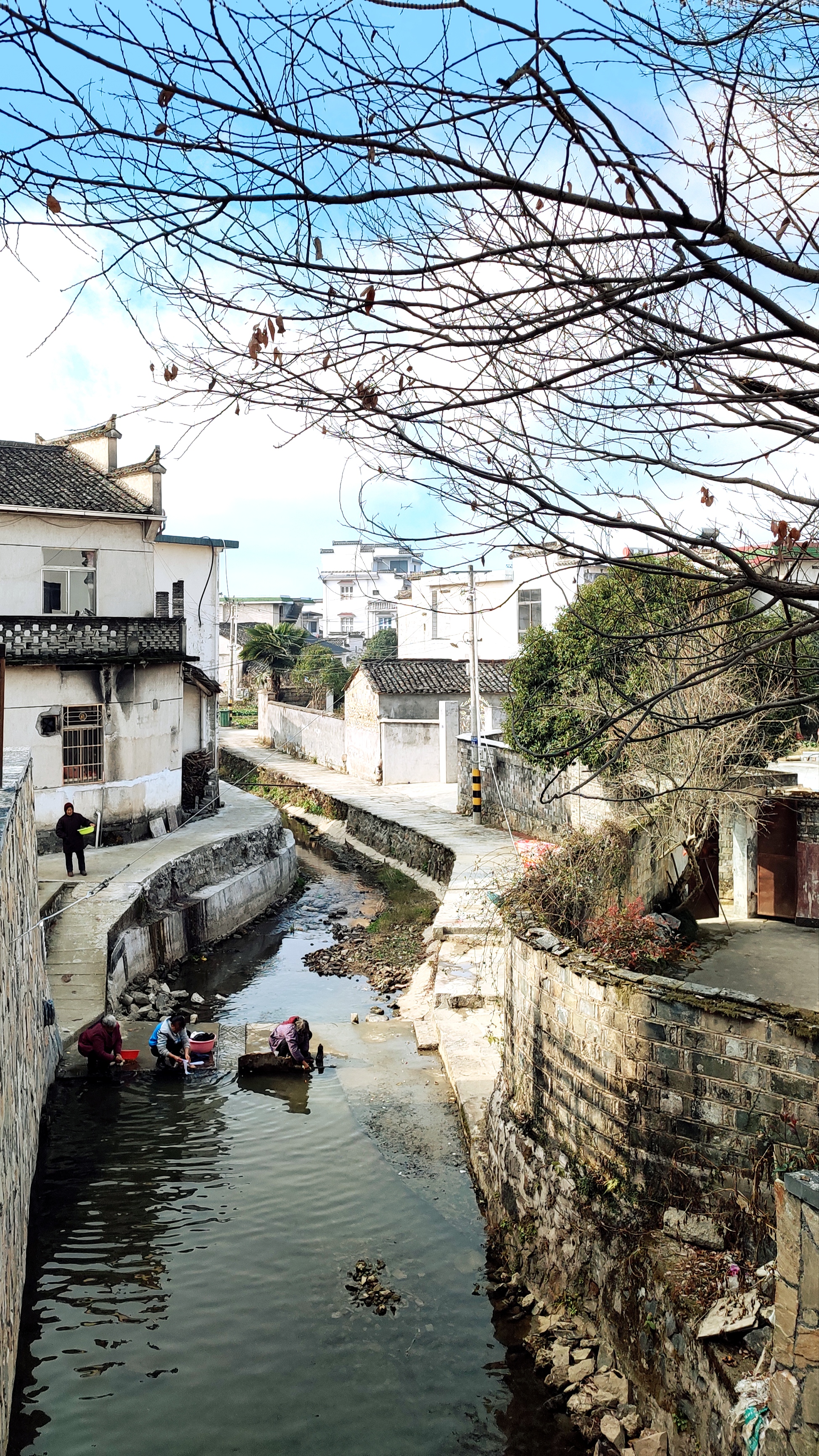 黄山中国书画小镇旅行图片 2