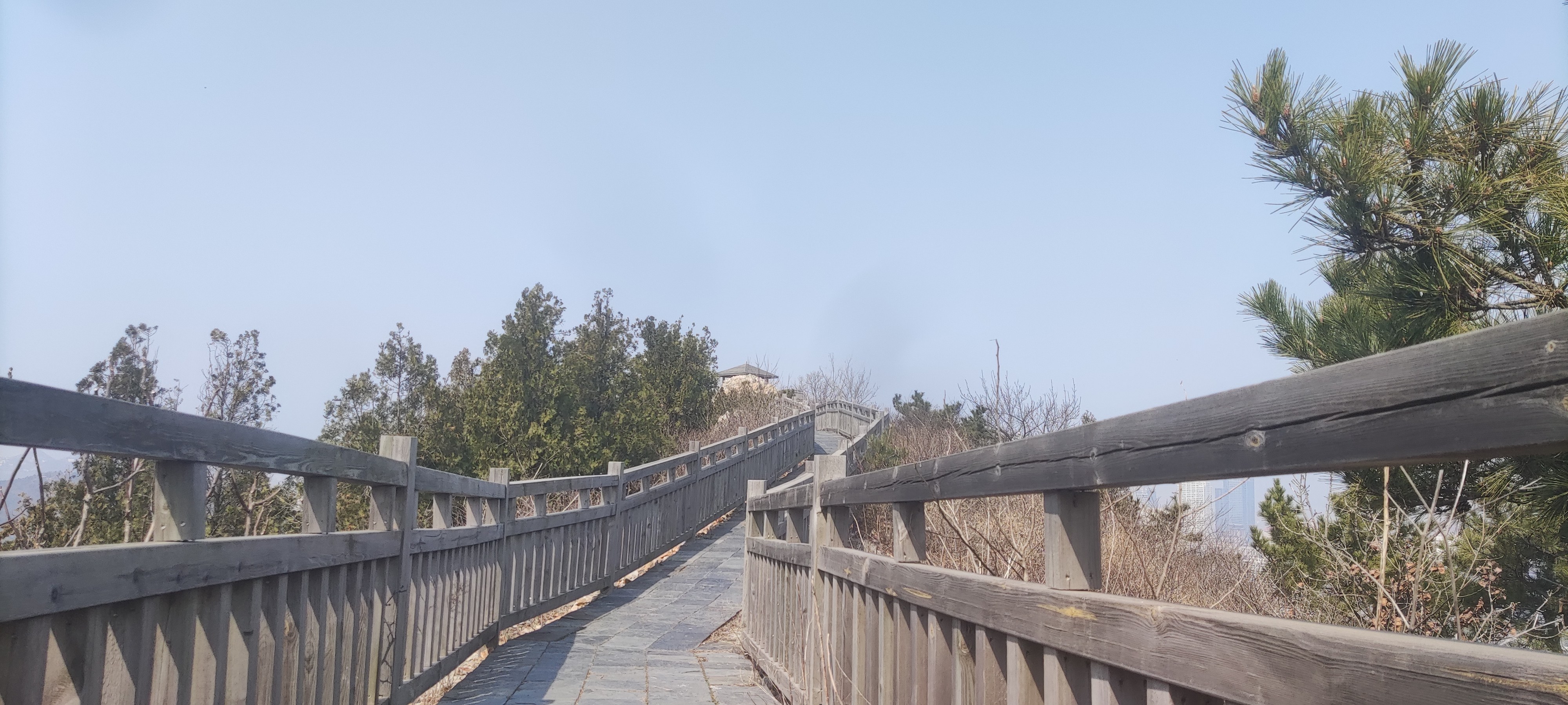 炮台山遗址旅行图片 3