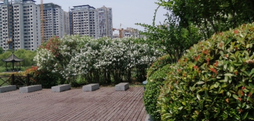 大钟楼旅行图片 2