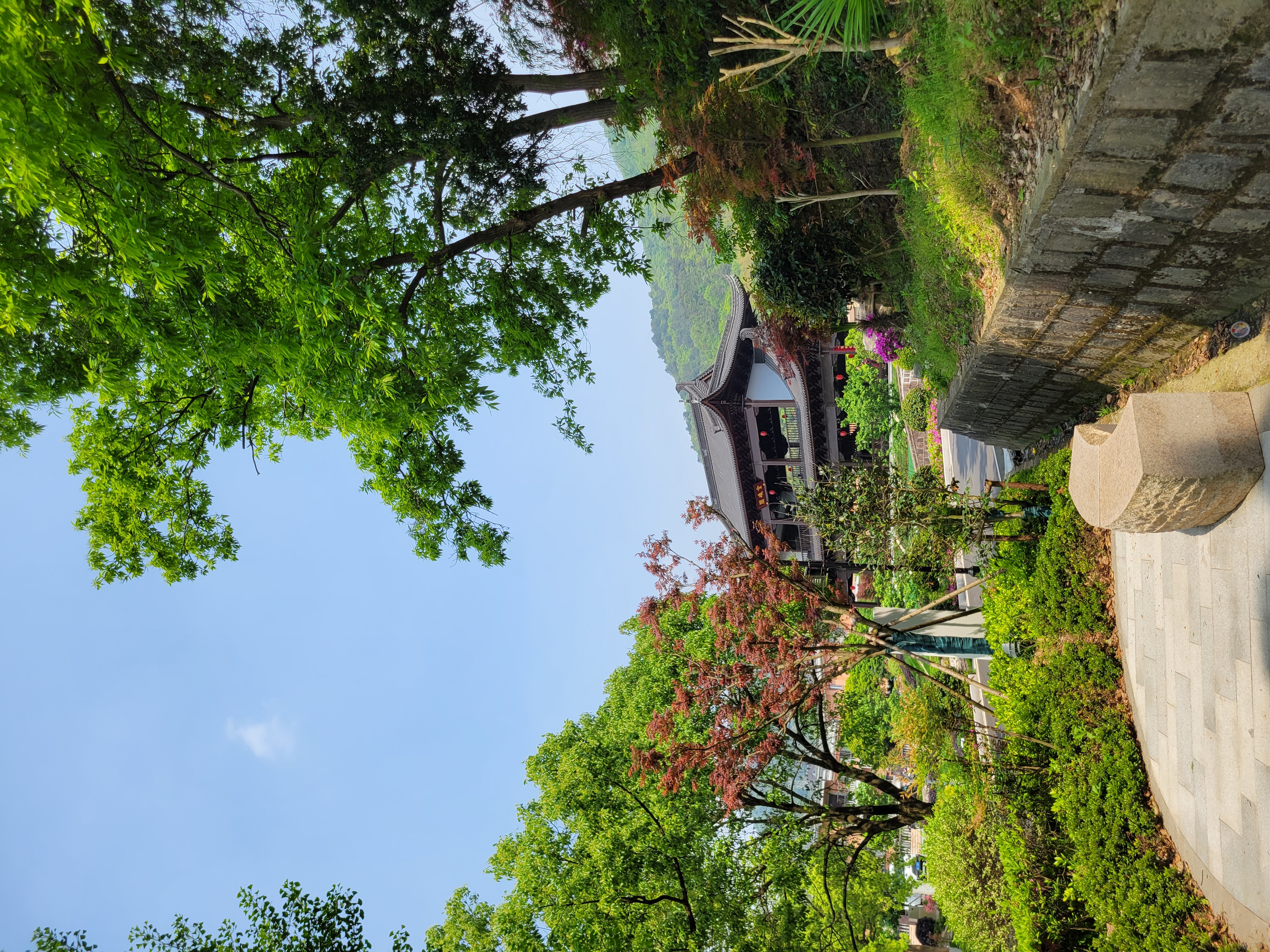 西坞街道金峨村景区旅行图片 2