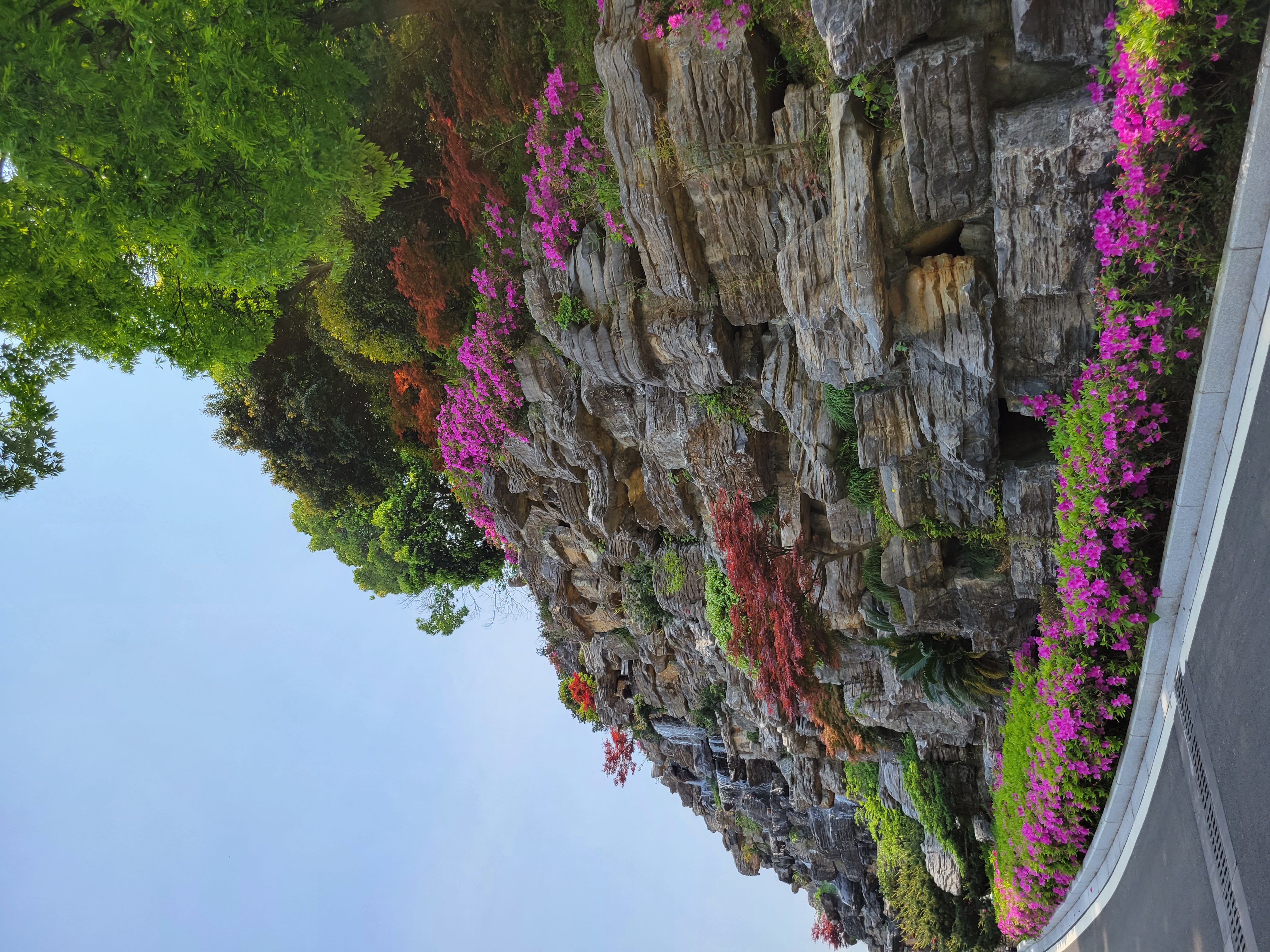 西坞街道金峨村景区旅行图片 3