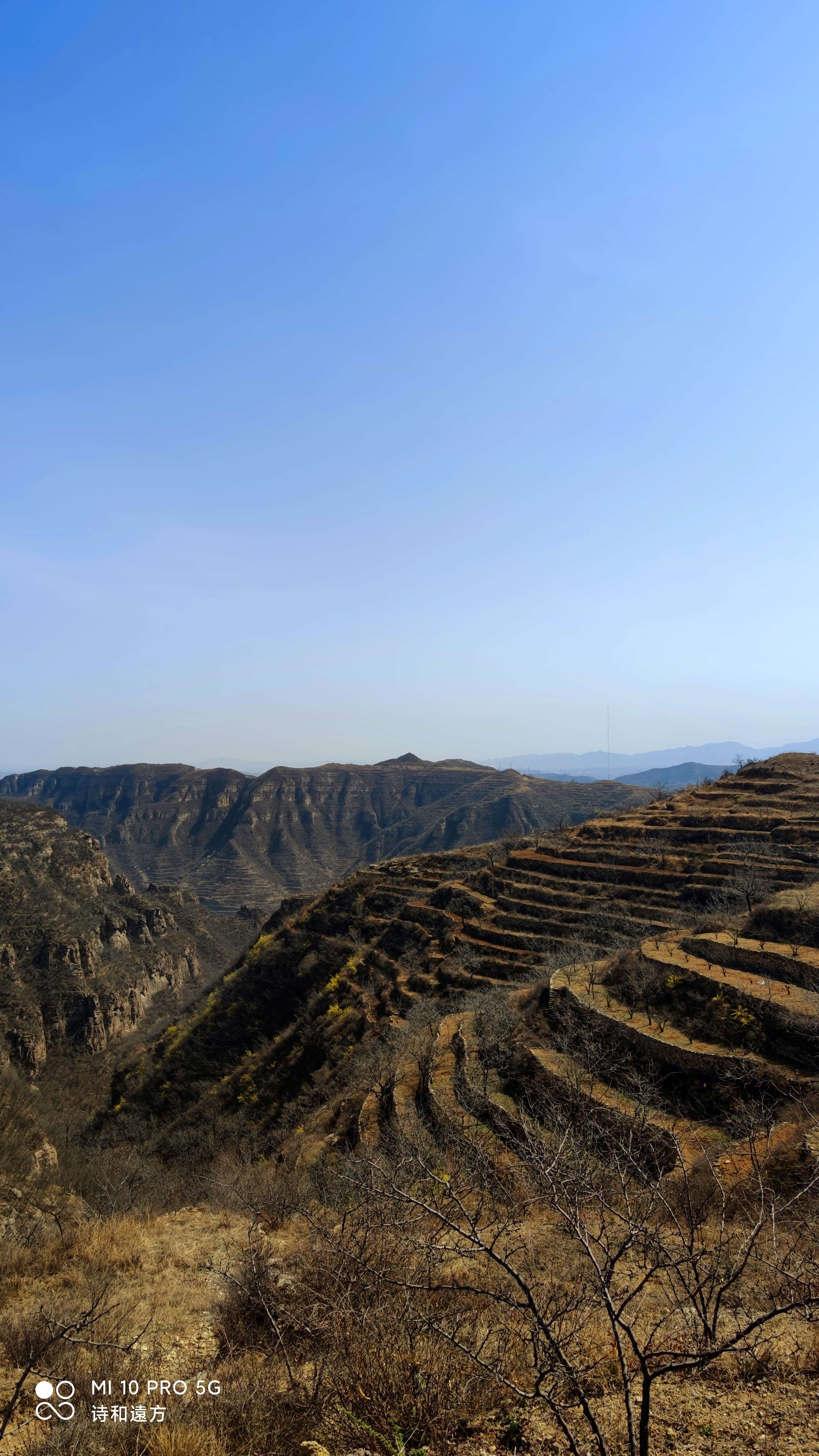王金庄多彩梯田风景区旅行图片 3