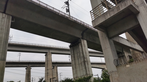 新塘高铁公园旅行图片 2