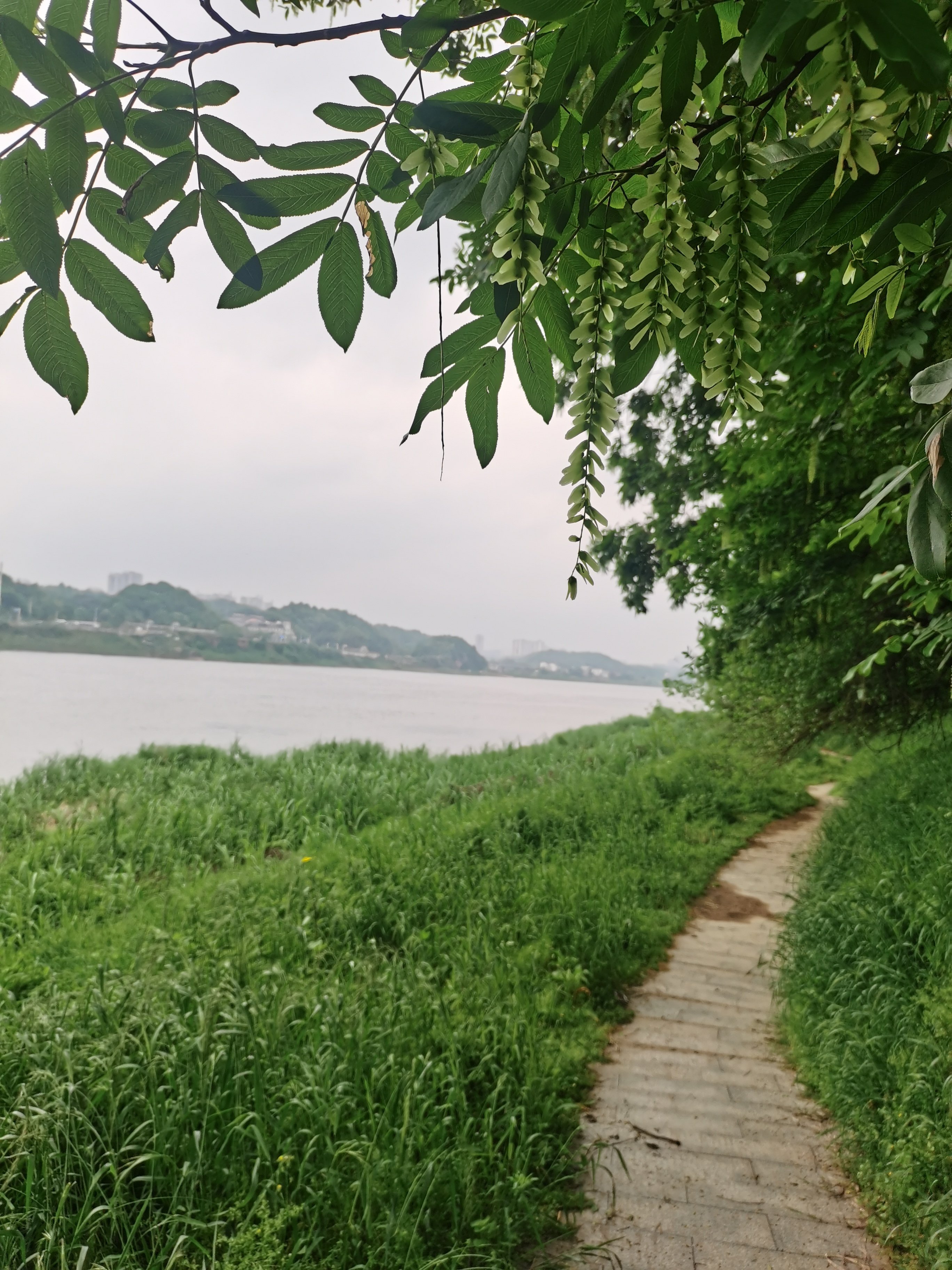 蝴蝶谷旅行图片 1