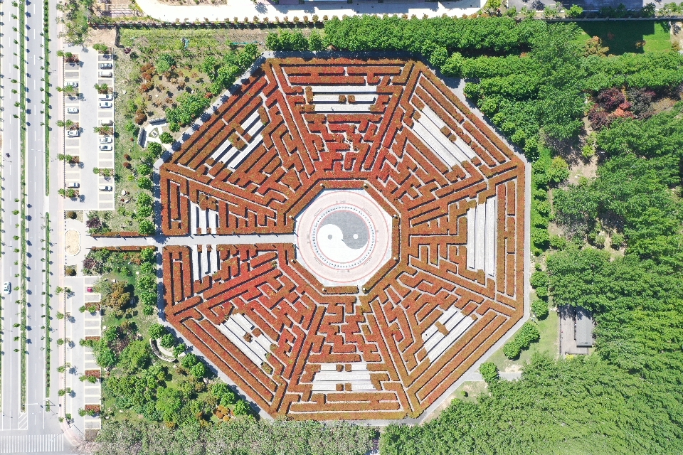 清丰县易园旅行图片 2