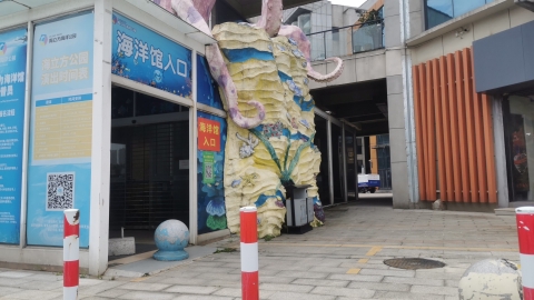 岳阳海立方海洋公园(建设中)的第2张图片的图片资料