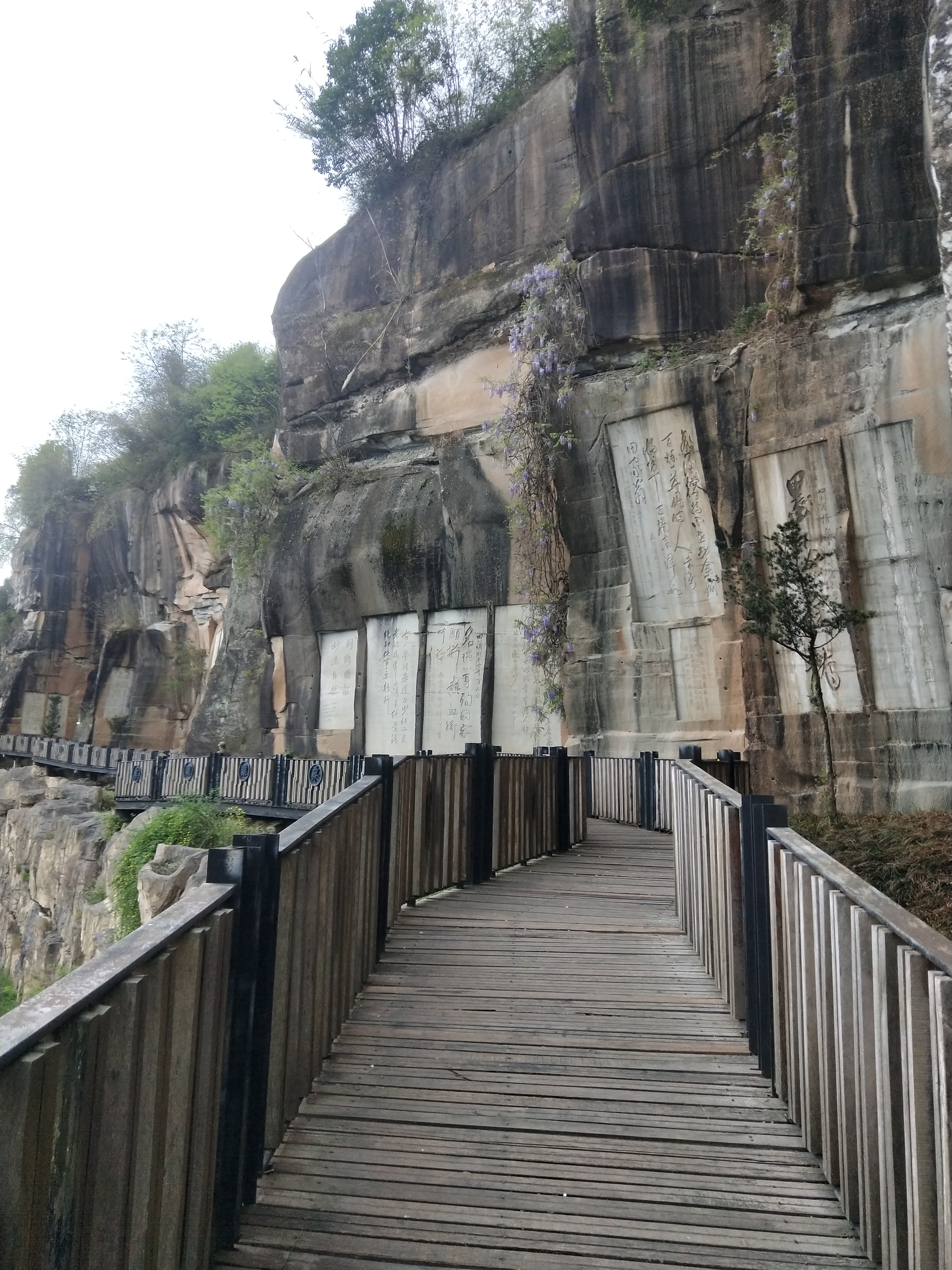 金粟书岩旅行图片 2