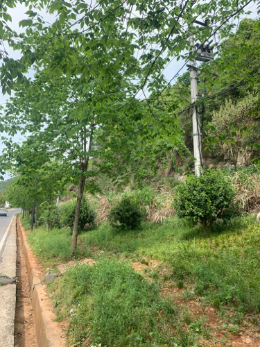 午潮山公园旅行图片 2