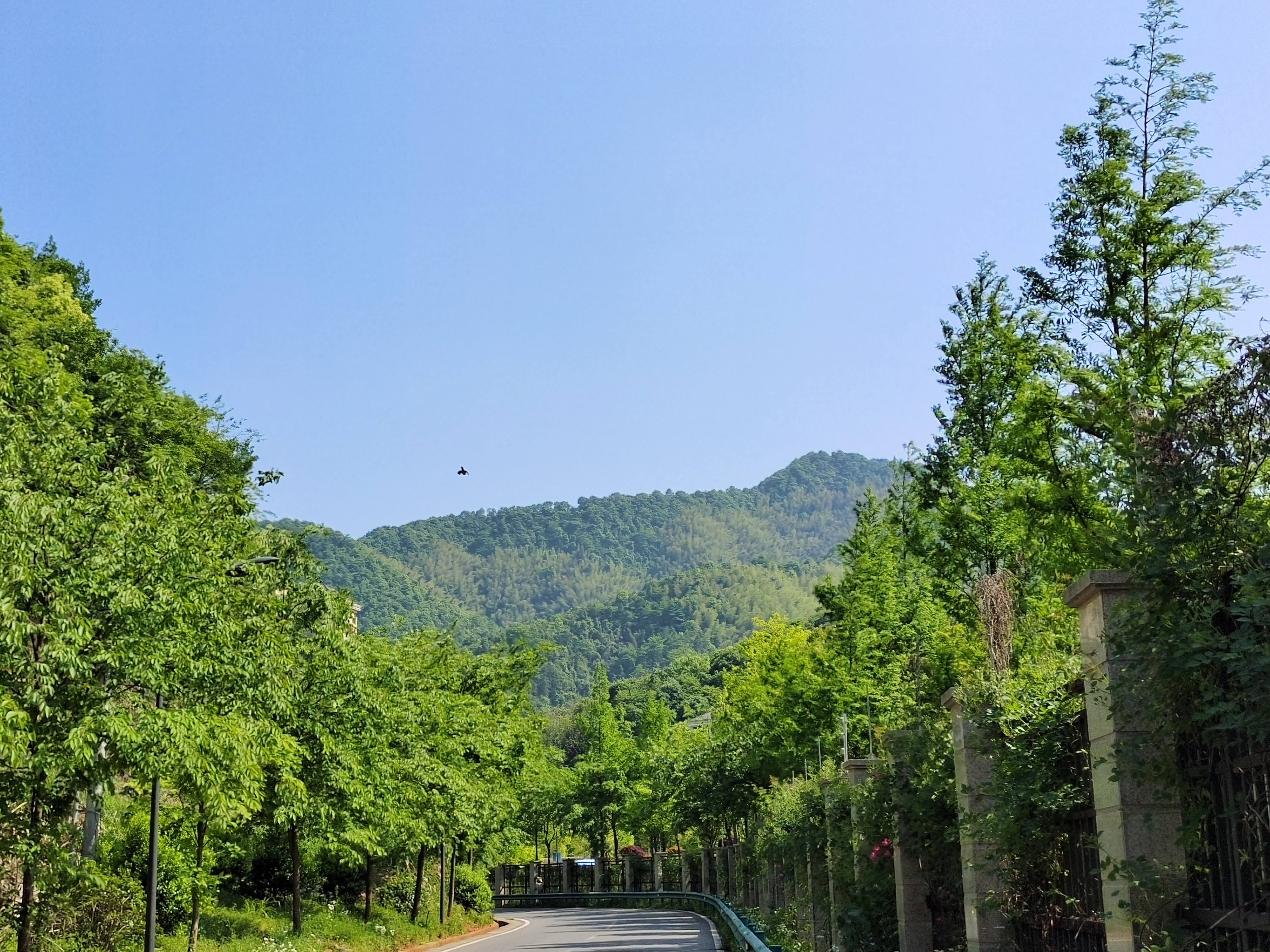 午潮山公园旅行图片 1