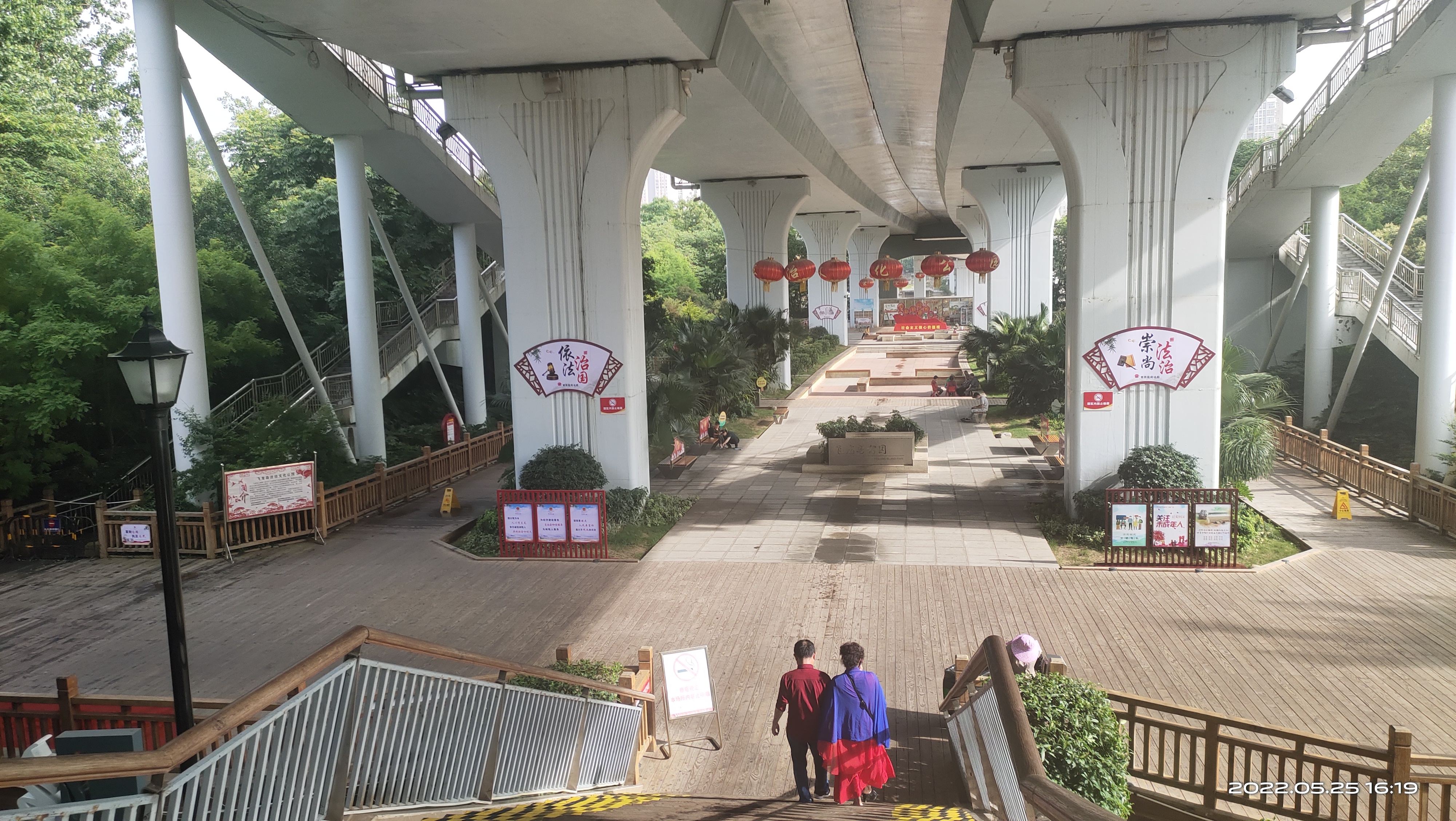 飞龙岛公园旅行图片 1