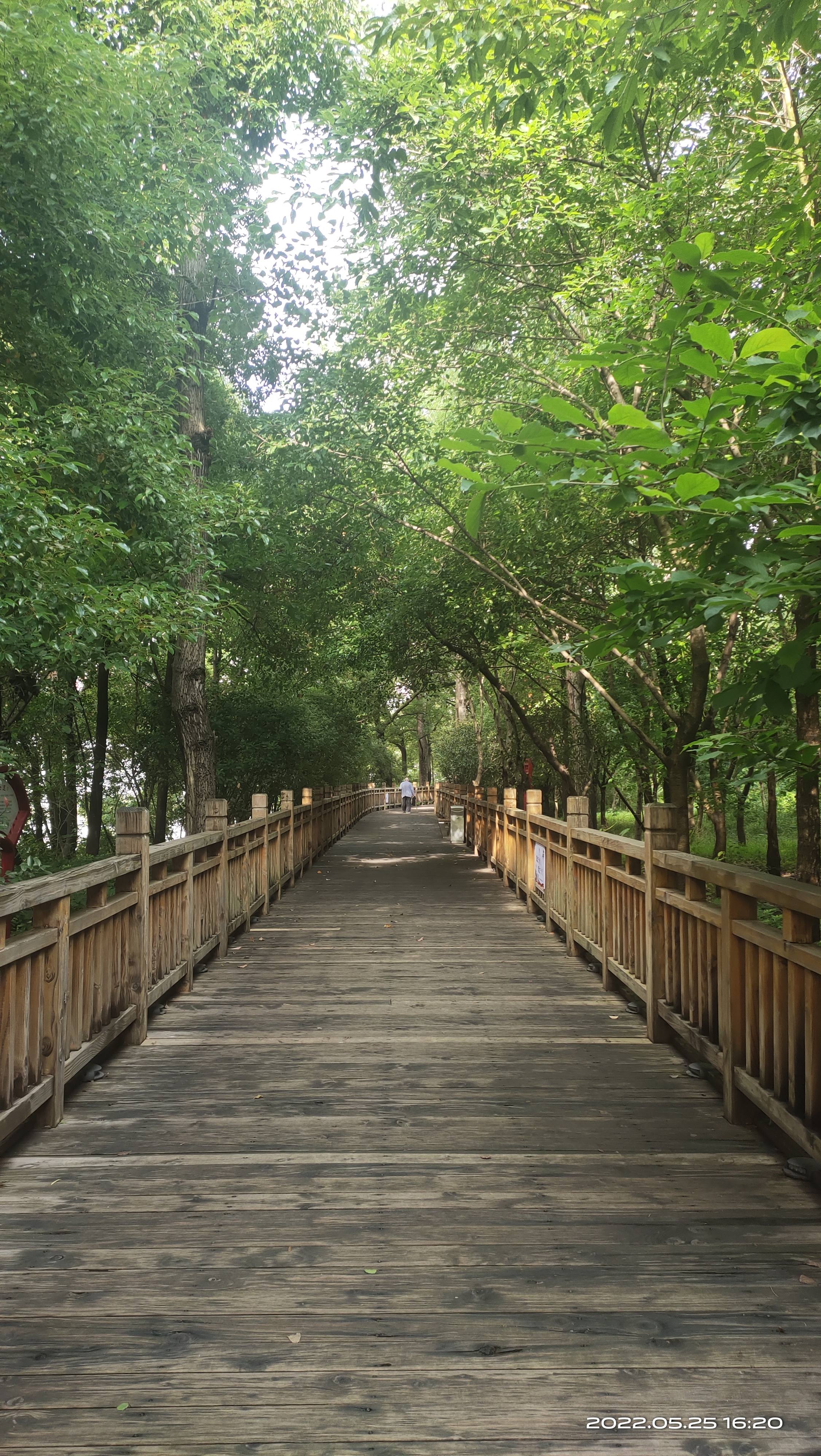 飞龙岛公园旅行图片 2