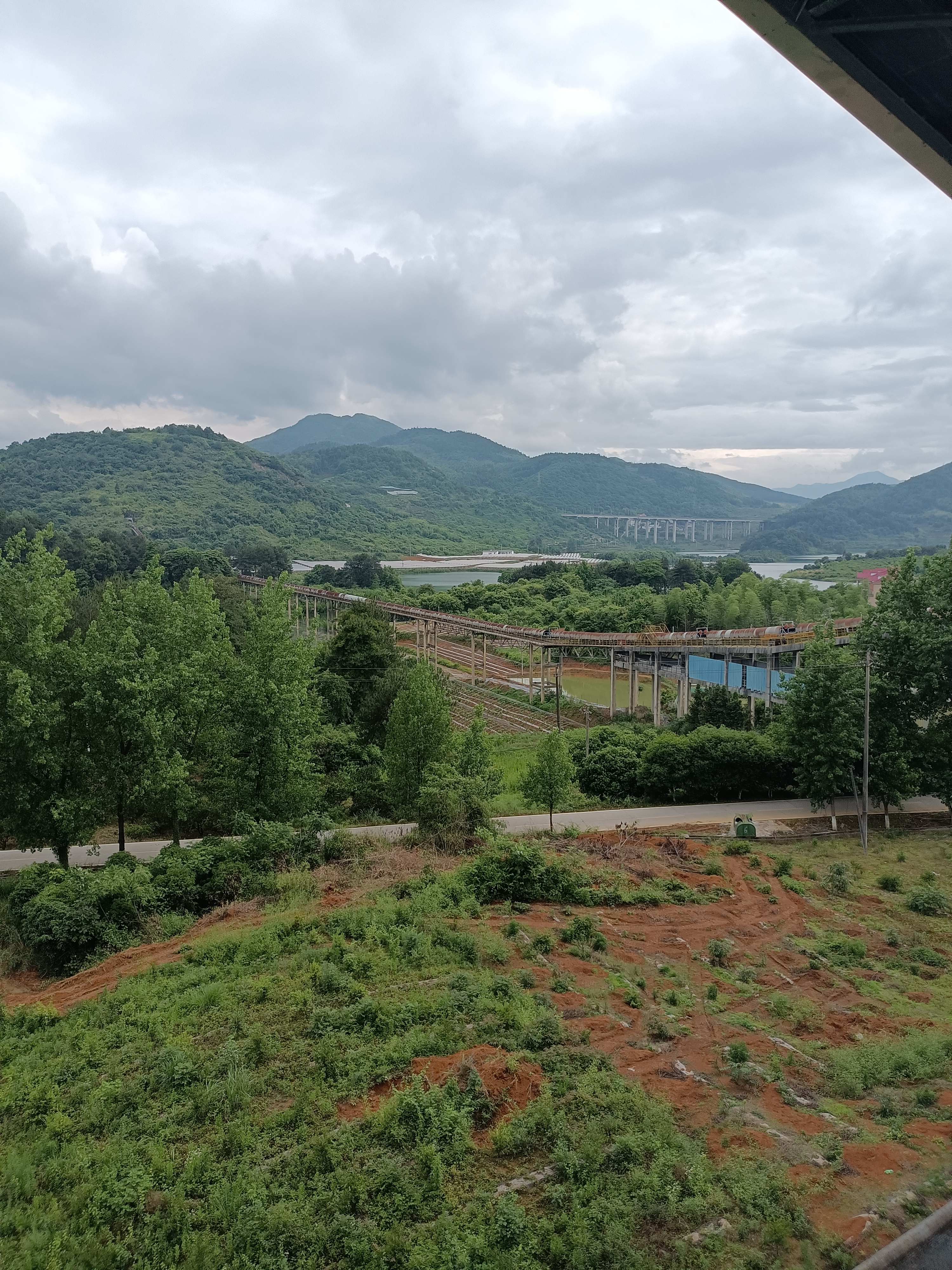 金甲梨园旅行图片 1