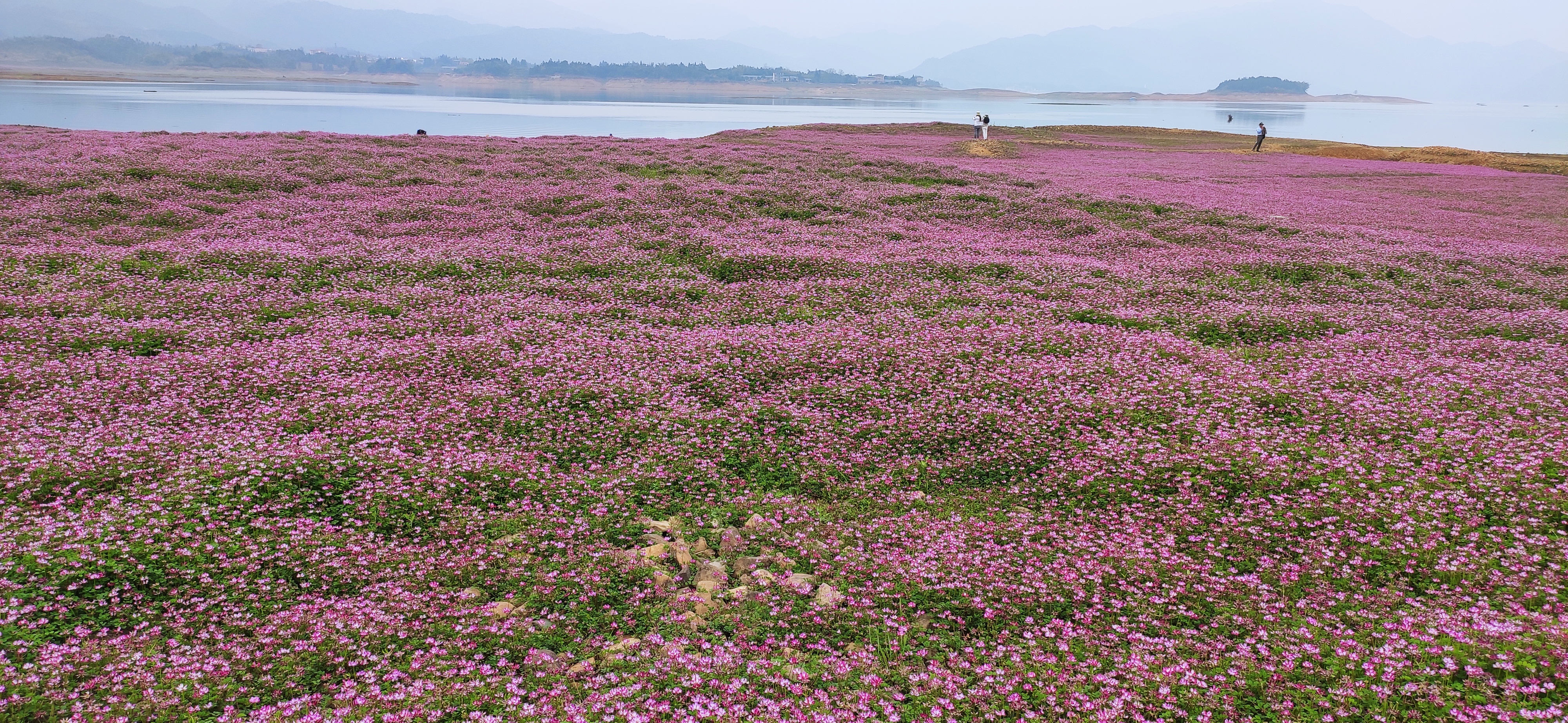 公平湖花海观光园旅行图片 2