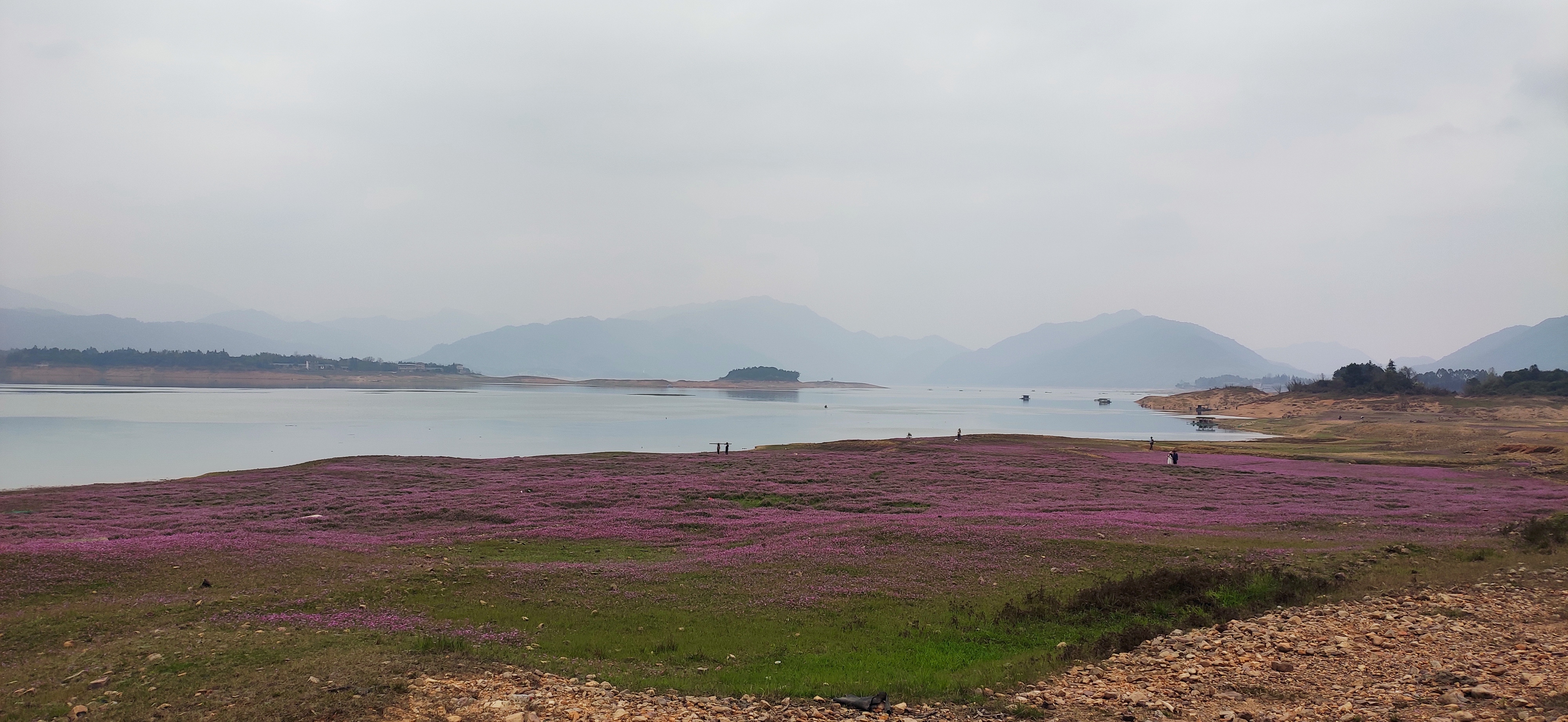 公平湖花海观光园旅行图片 1