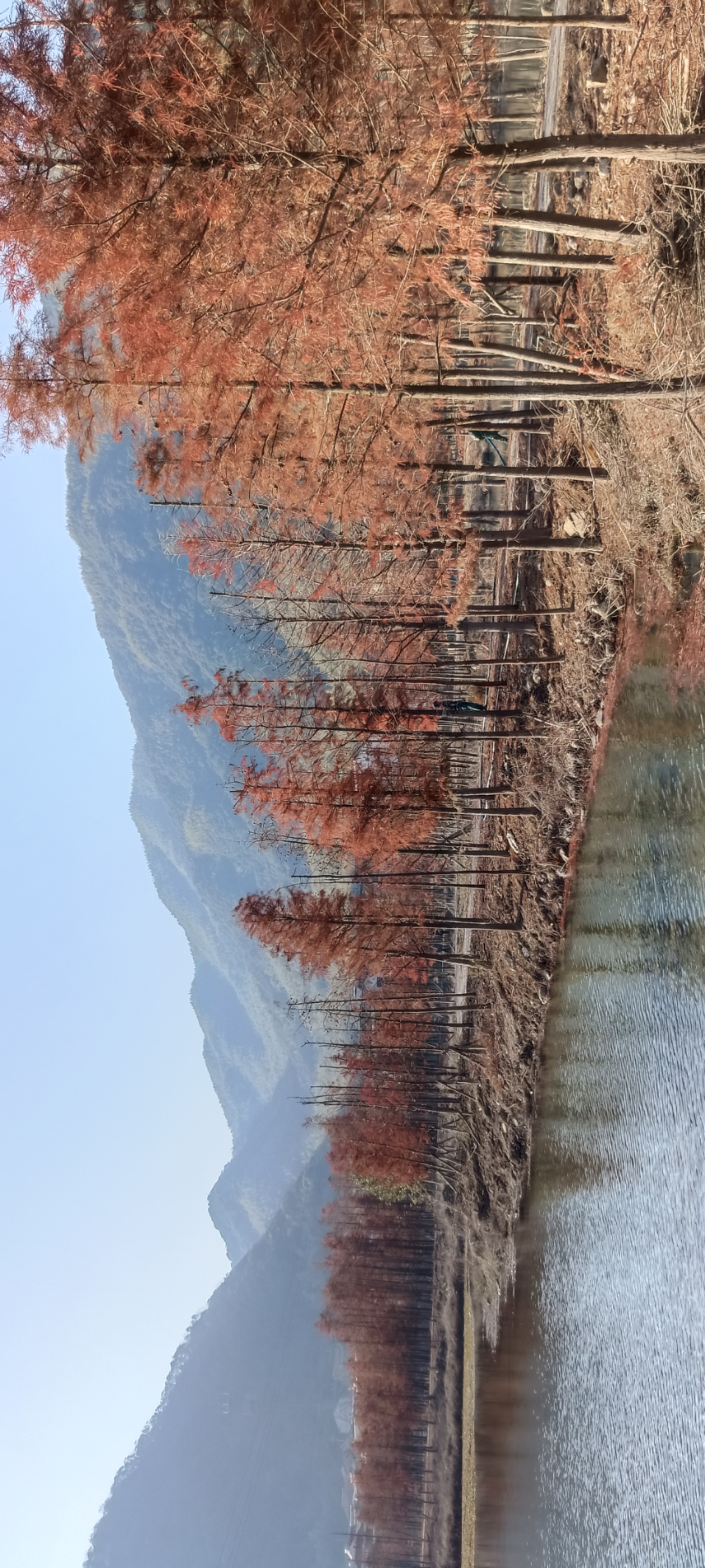 袁马湿地公园旅行图片 1