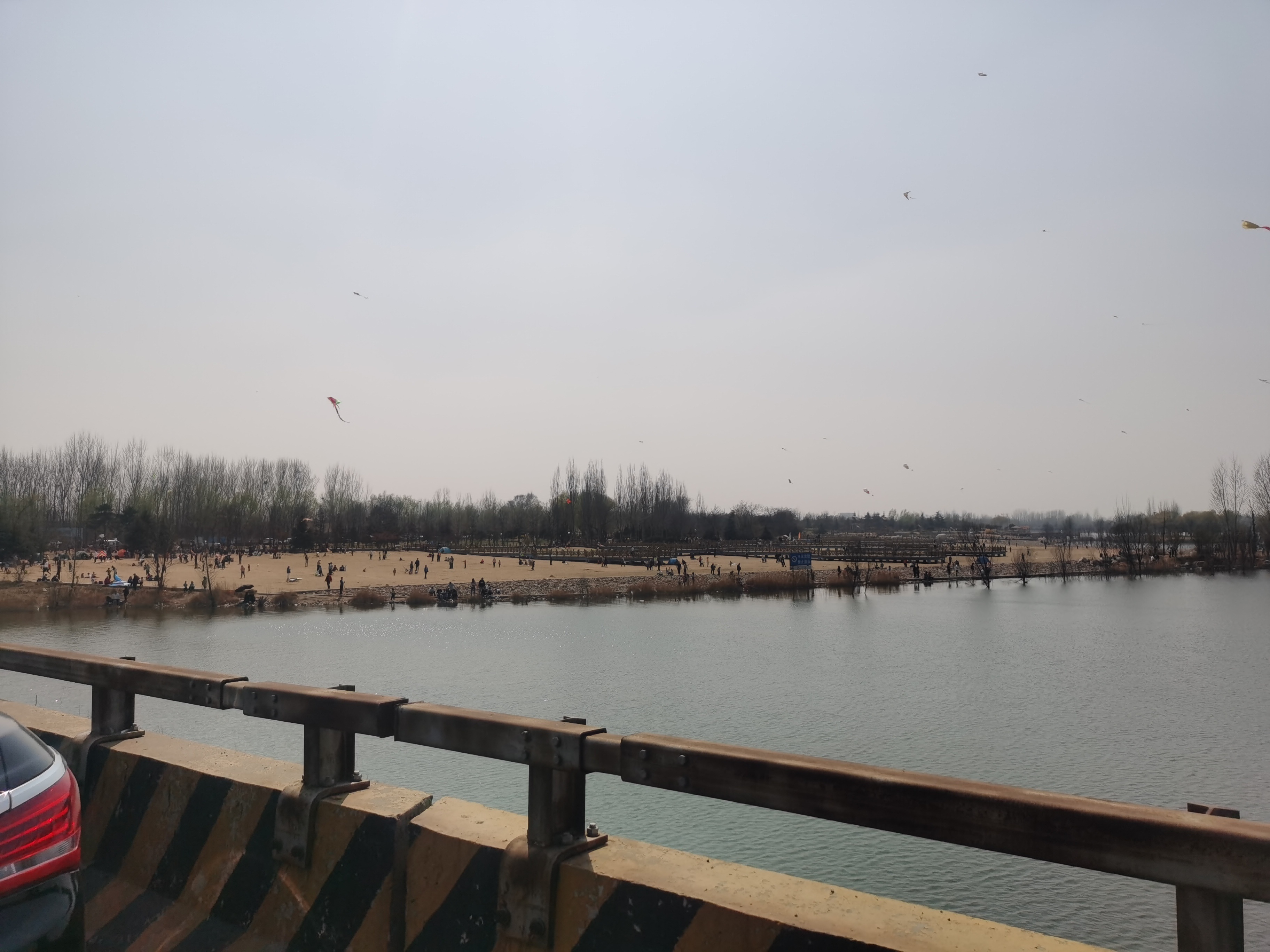 北胶新河湿地公园旅行图片 2