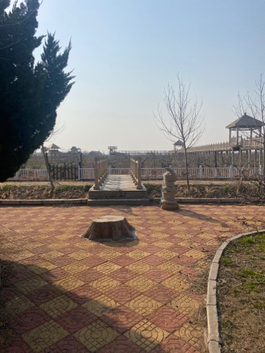 西宋万亩桃园旅行图片 1