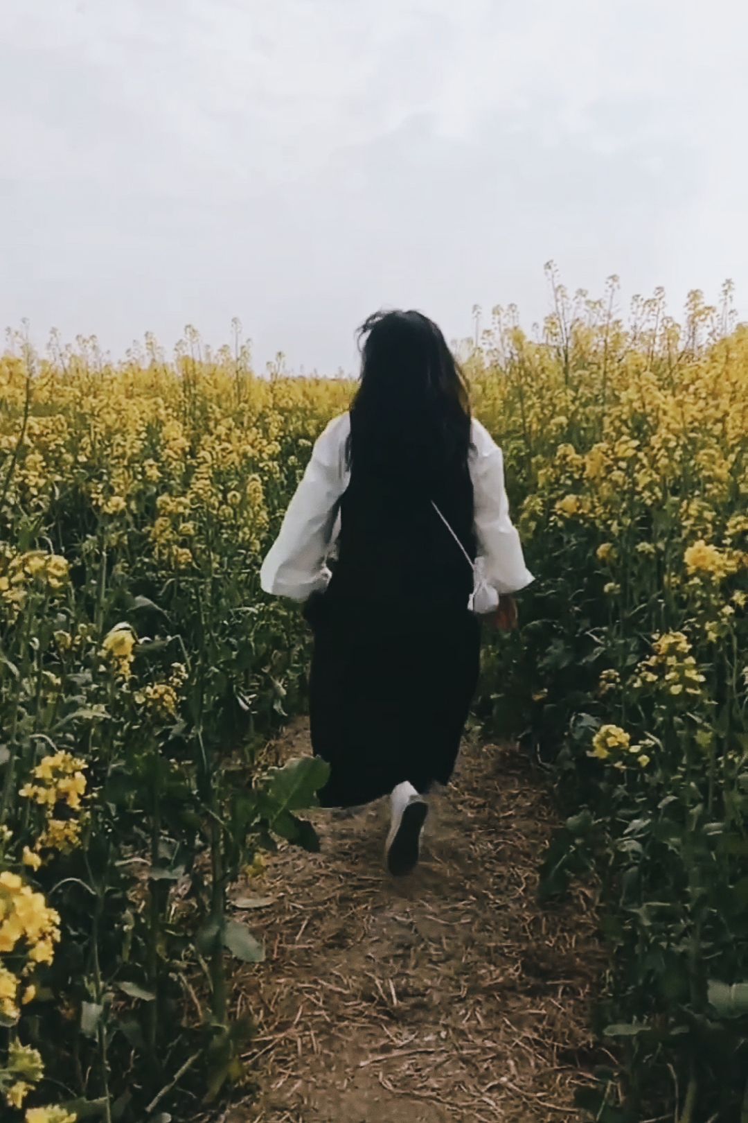 鼎湖油菜花观景点旅行图片 3
