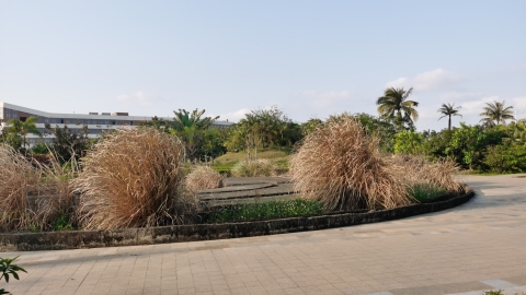 金盛达湖景公园旅行图片 1
